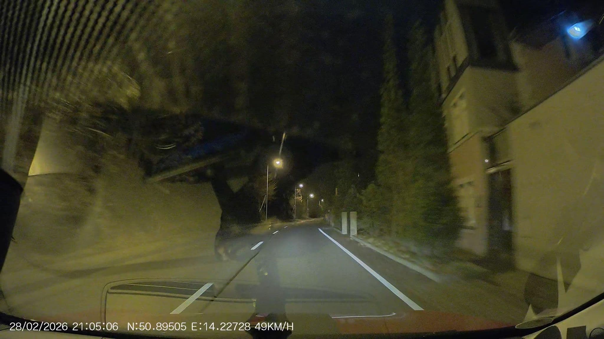 Street view near Villa Waldfrieden, Bad Schandau — © AR88 (CC BY-SA · Mapillary)
