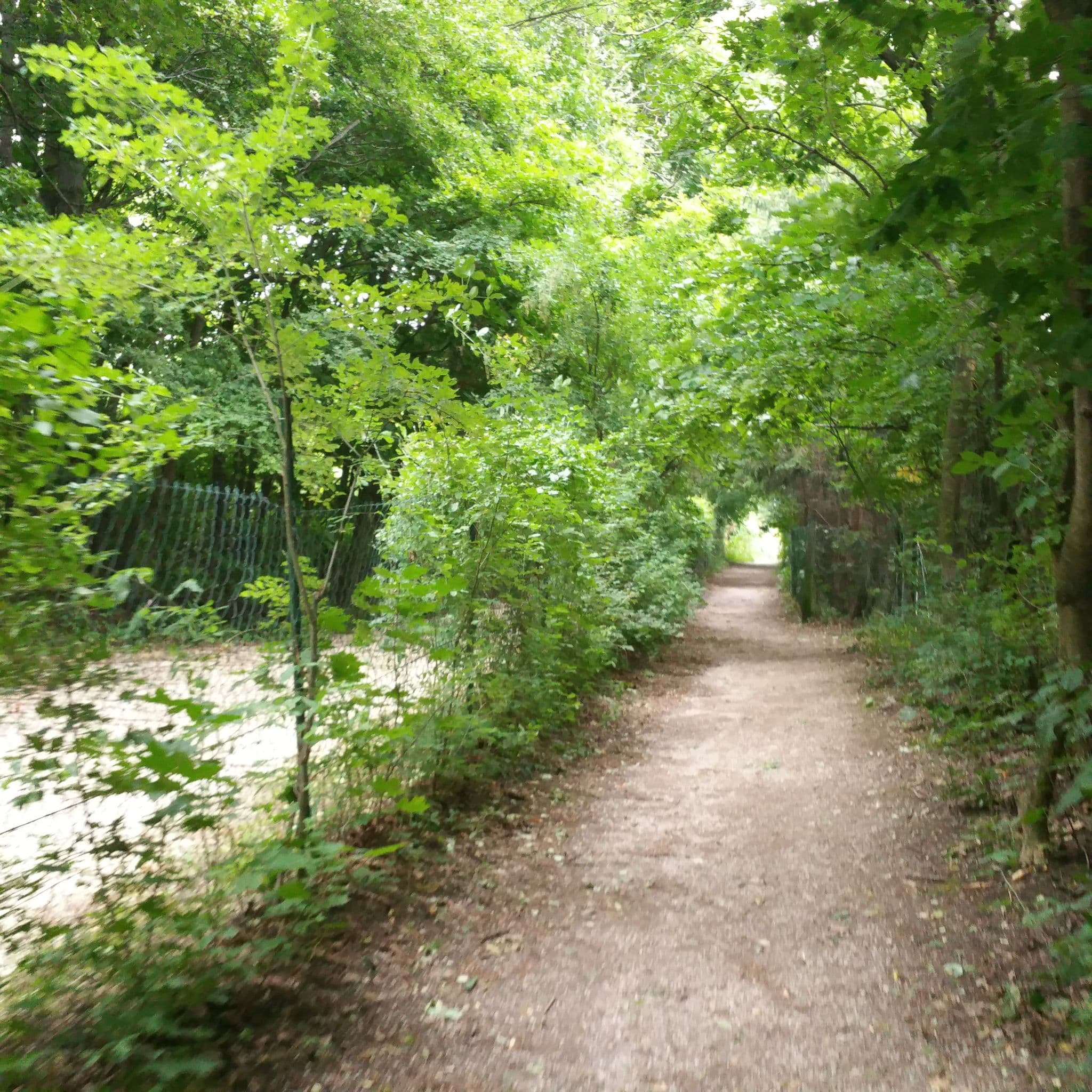 Street view near Hostel Schlossherberge, Ottakring — © hermannmucke (CC BY-SA · Mapillary)