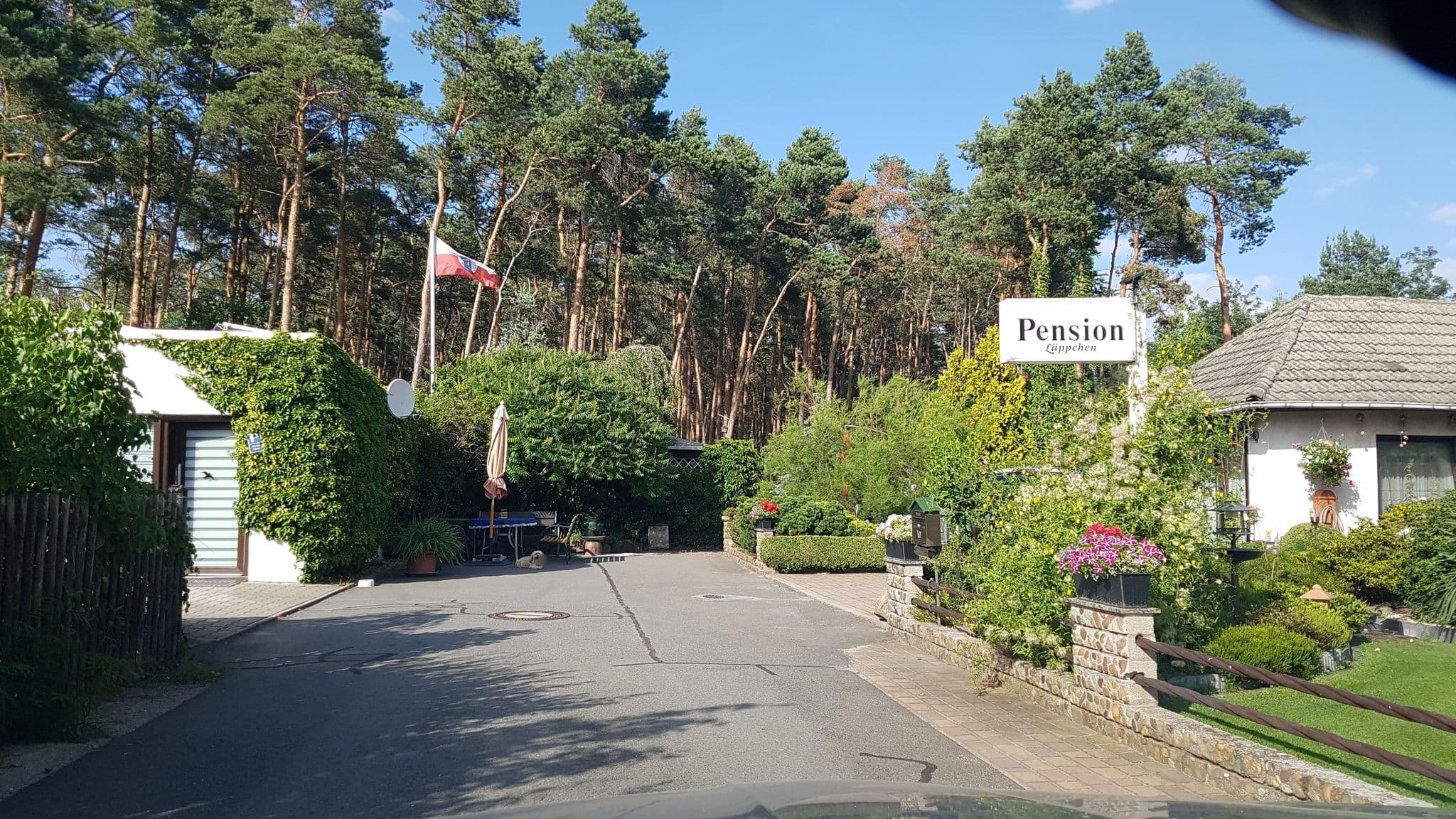 Street view near Pension Läppchen, Bad Liebenwerda — © dsmm (CC BY-SA · Mapillary)