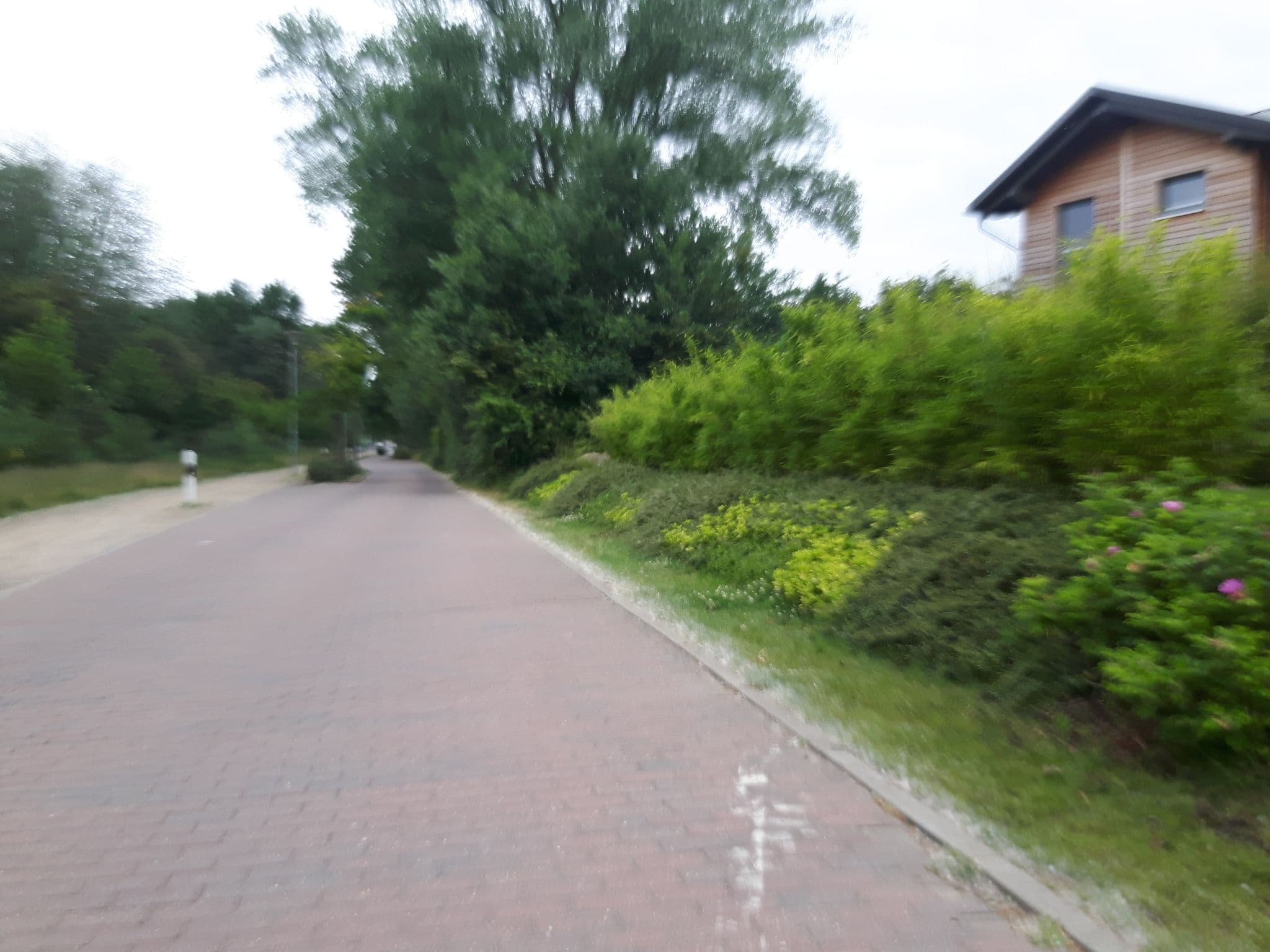 Street view near Koko Head, Neustadt in Holstein