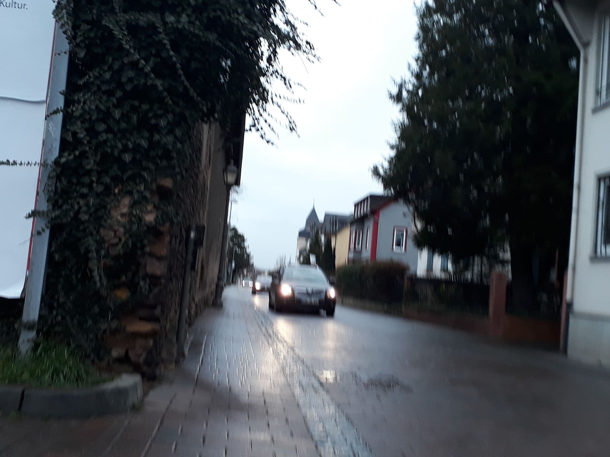 Street view near Gästezimmer Schloss Schönborn, Geisenheim — © negro (CC BY-SA · Mapillary)