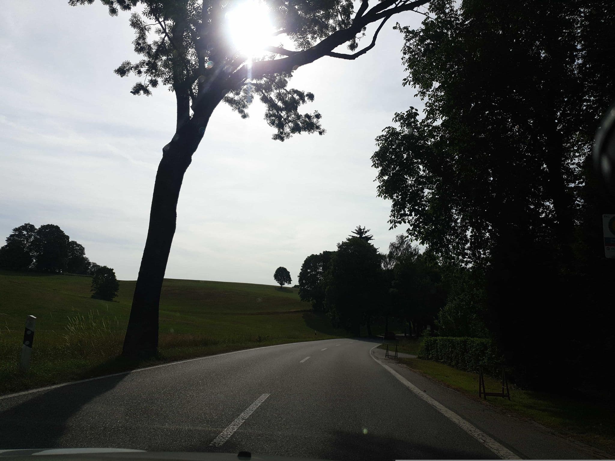 Street view near Greifenbachmühle, Geyer — © canislupus (CC BY-SA · Mapillary)