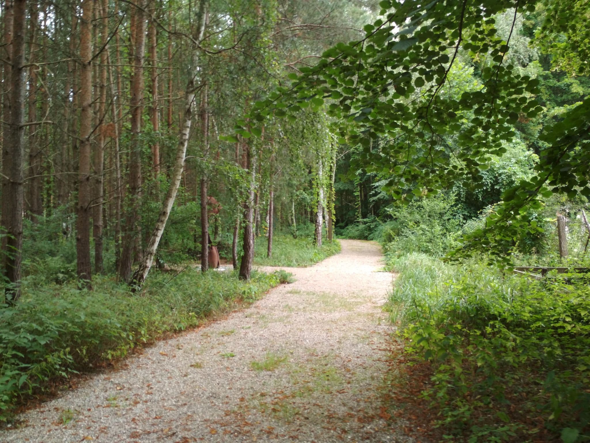 Street view near Park Residenz Bei Wu, Wesenberg — © dl8dtl (CC BY-SA · Mapillary)