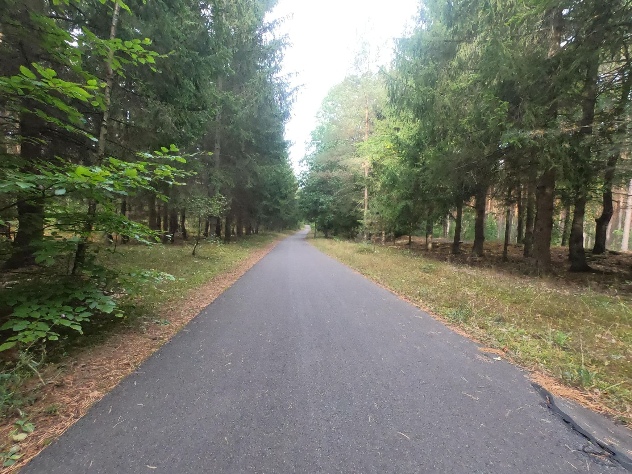 Street view near Ferienhaus Petersdorf UCK 121, Milmersdorf — © carlheinz (CC BY-SA · Mapillary)