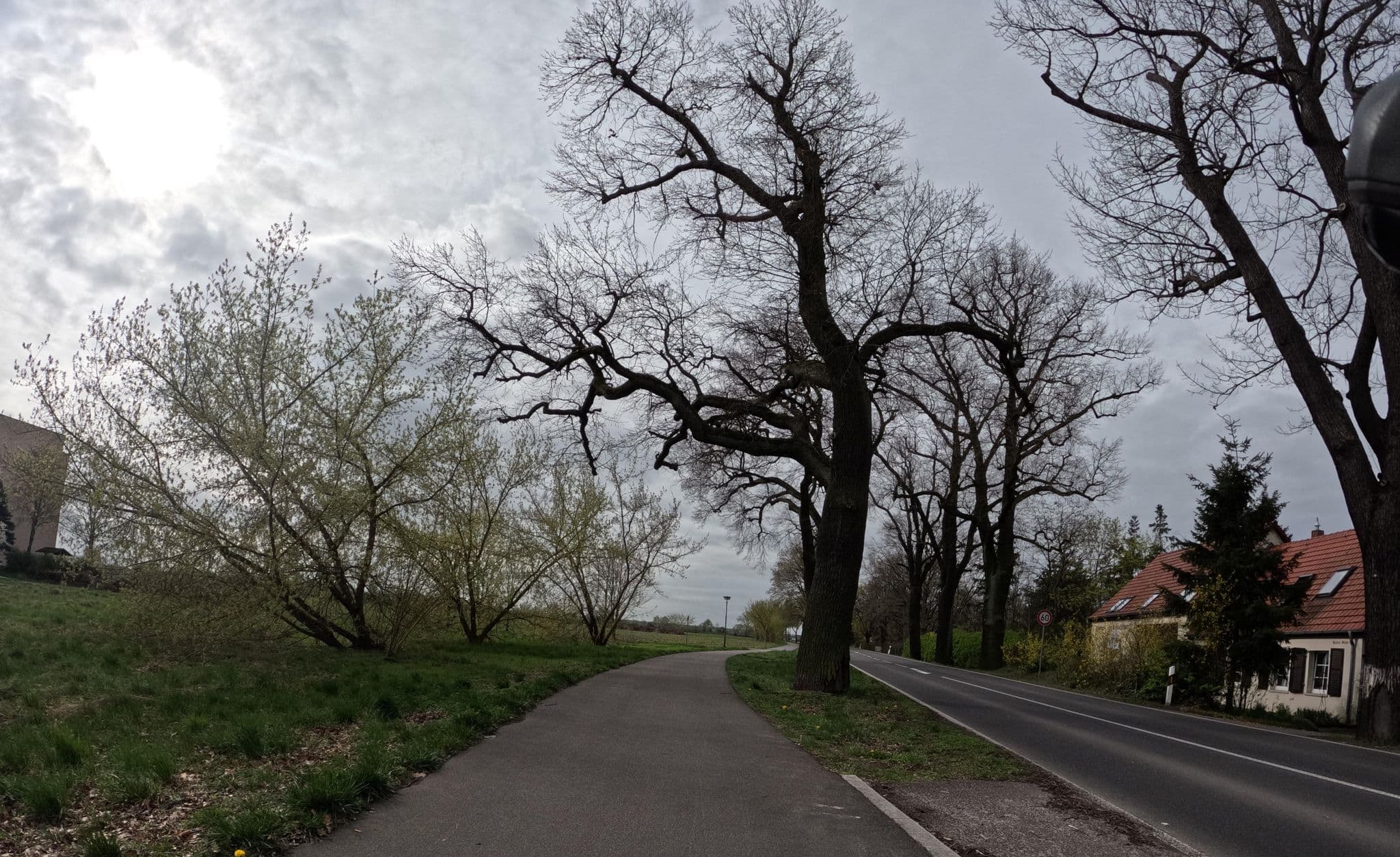 Street view near Am Schloßbusch, Borkheide — © britiger (CC BY-SA · Mapillary)