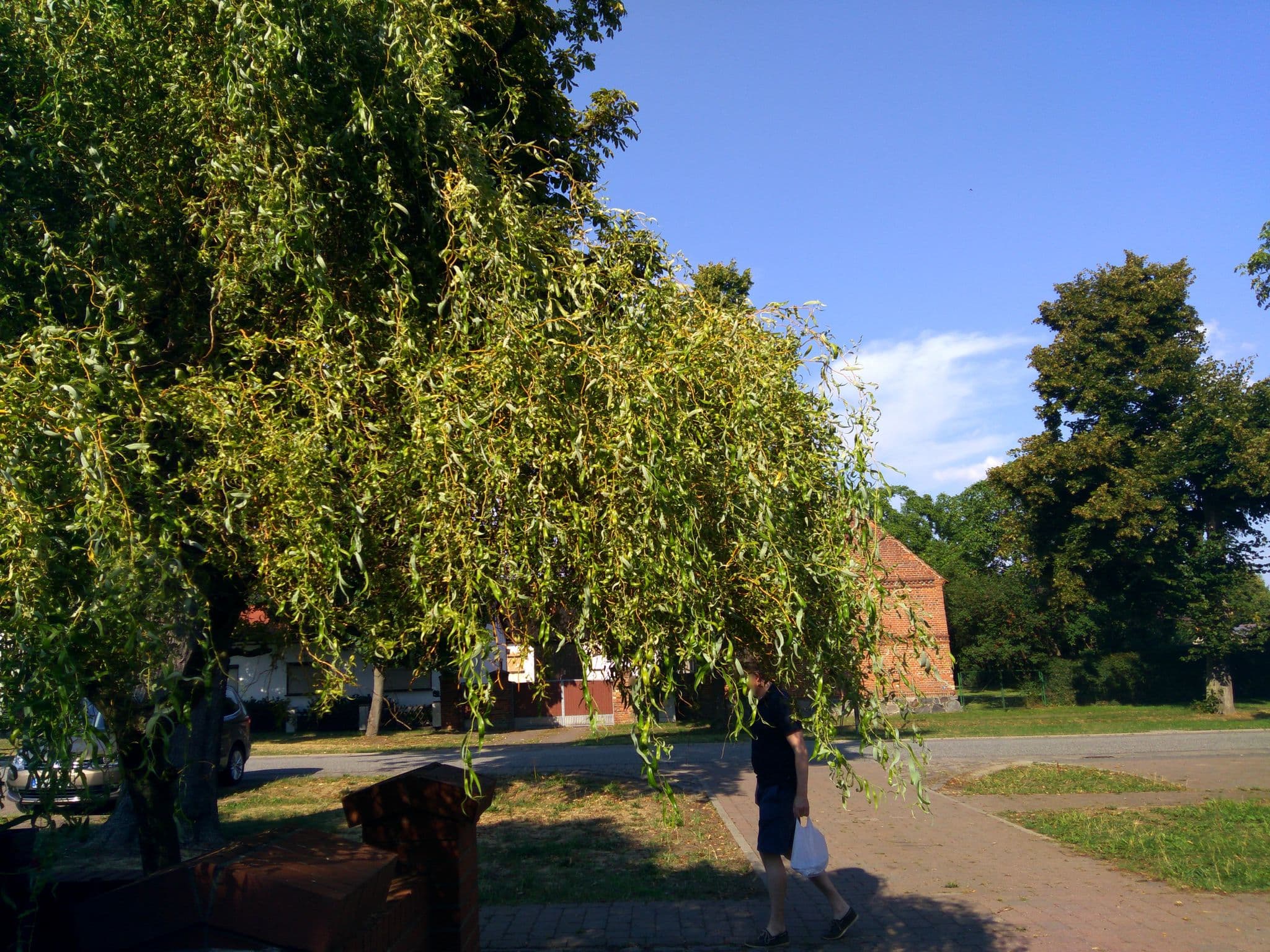 Street view near Zur Kastanie, Neuruppin — © mar_k83 (CC BY-SA · Mapillary)