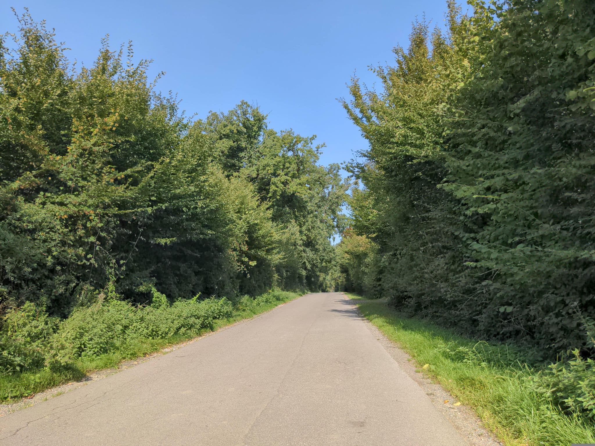 Street view near Ferienhaus Petrea, Plön — © rasmustravemnd (CC BY-SA · Mapillary)