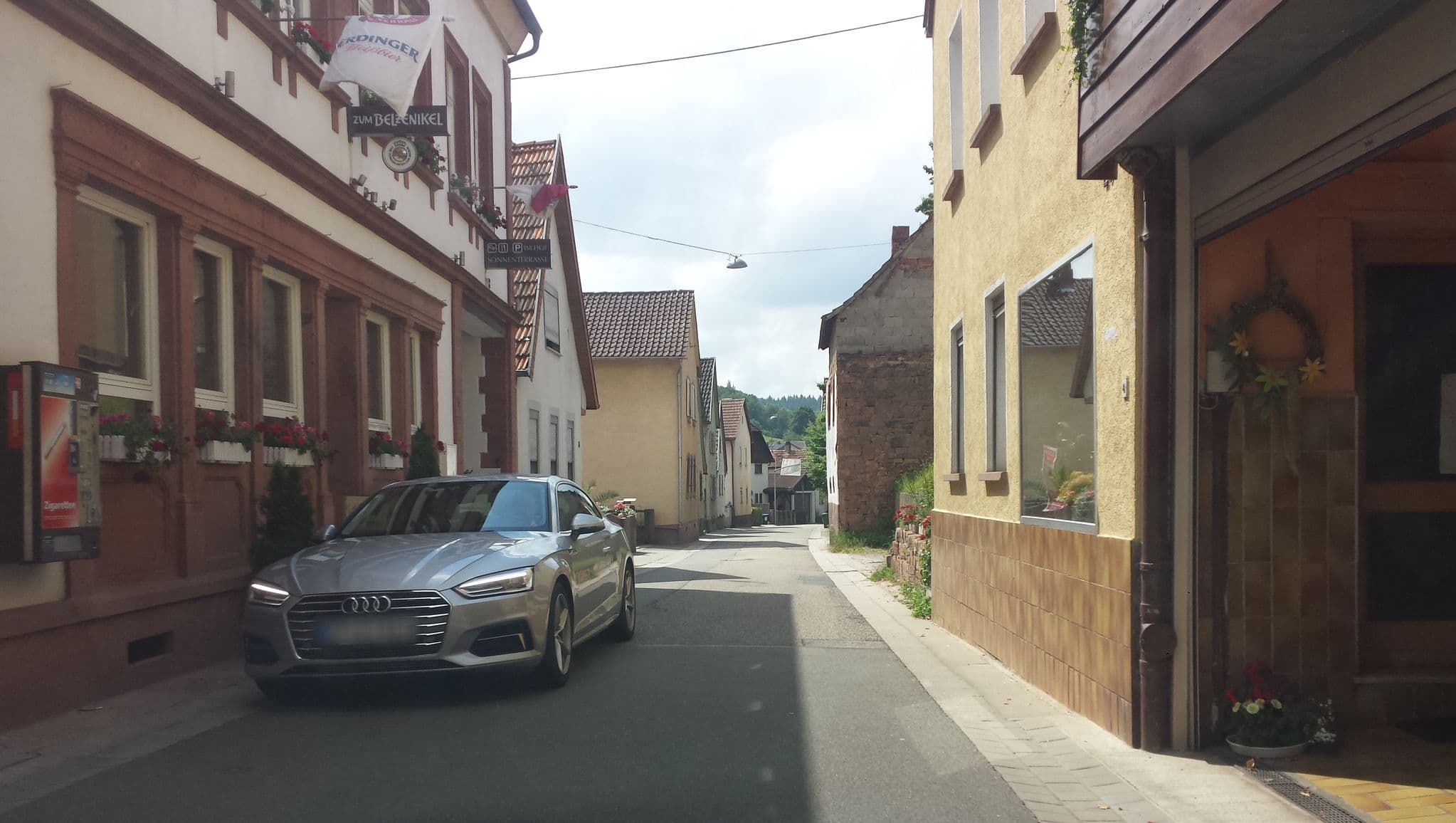Street view near Haus Scharfeneck, Ramberg — © wegavision (CC BY-SA · Mapillary)