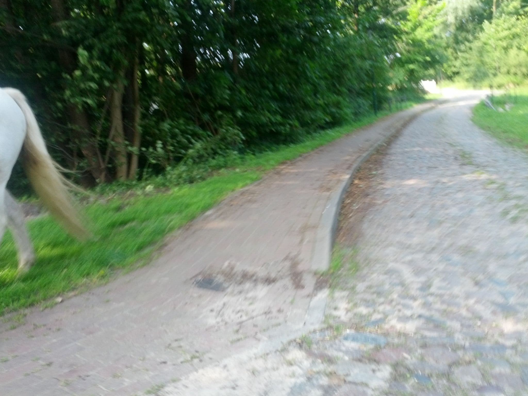 Street view near Alte Schule Mechelsdorf, Bastorf — © zoegglmeyr (CC BY-SA · Mapillary)