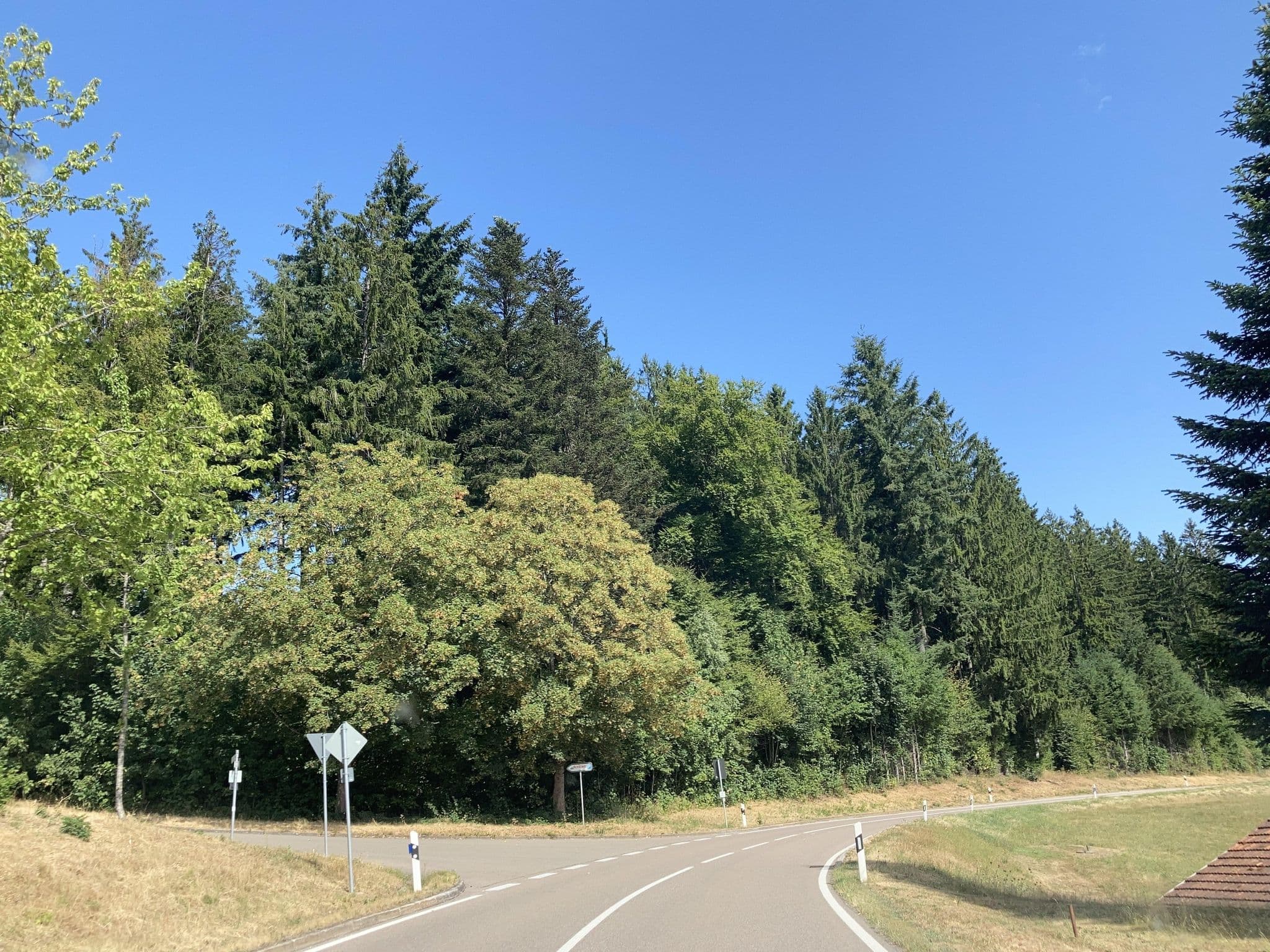 Street view near Ferienhaus Elisabeth Eble, Schuttertal — © tasmaniadevil (CC BY-SA · Mapillary)