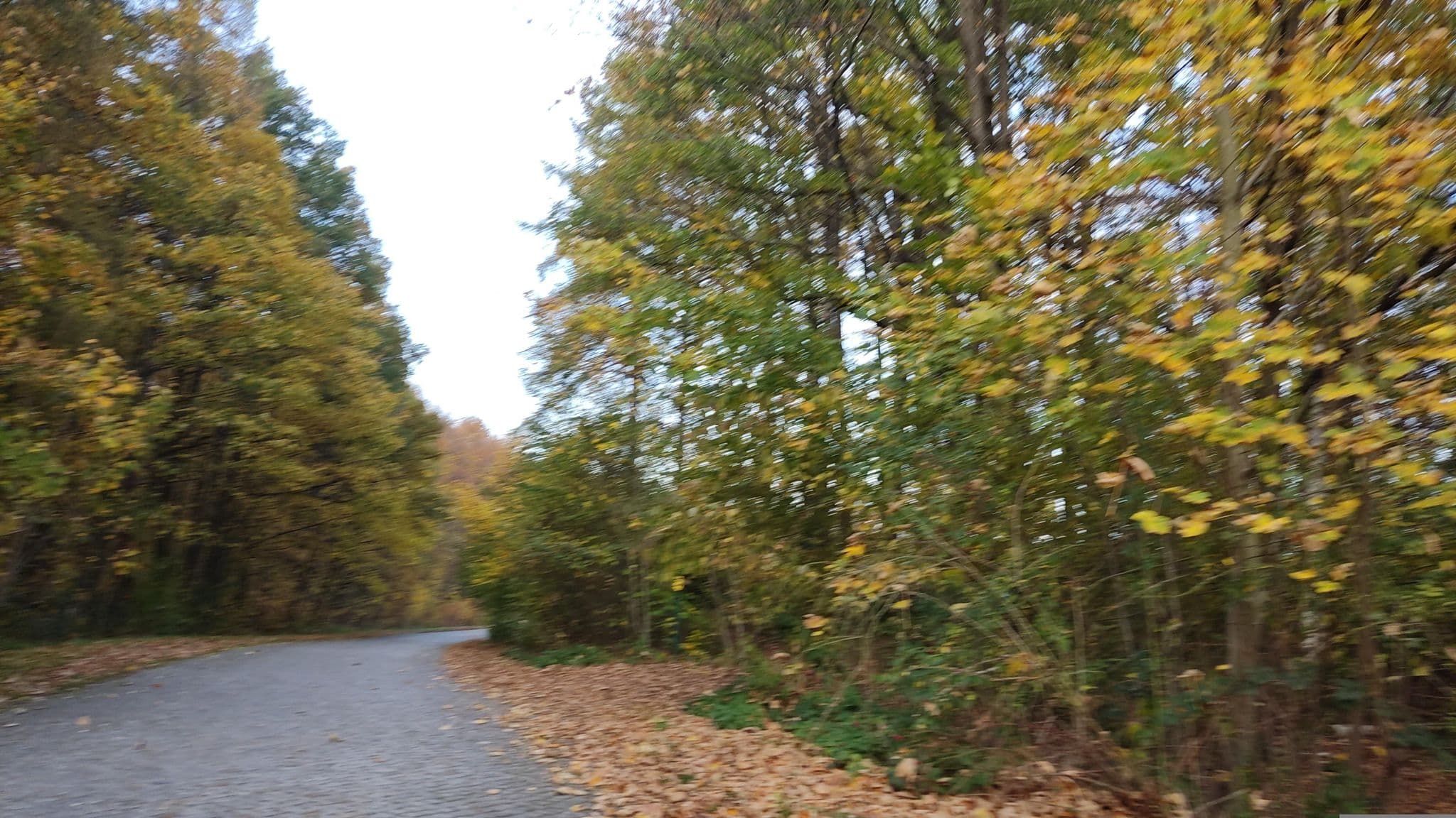 Street view near Nikolsdorf-Biwak, Königstein — © Tatfahren (CC BY-SA · Mapillary)
