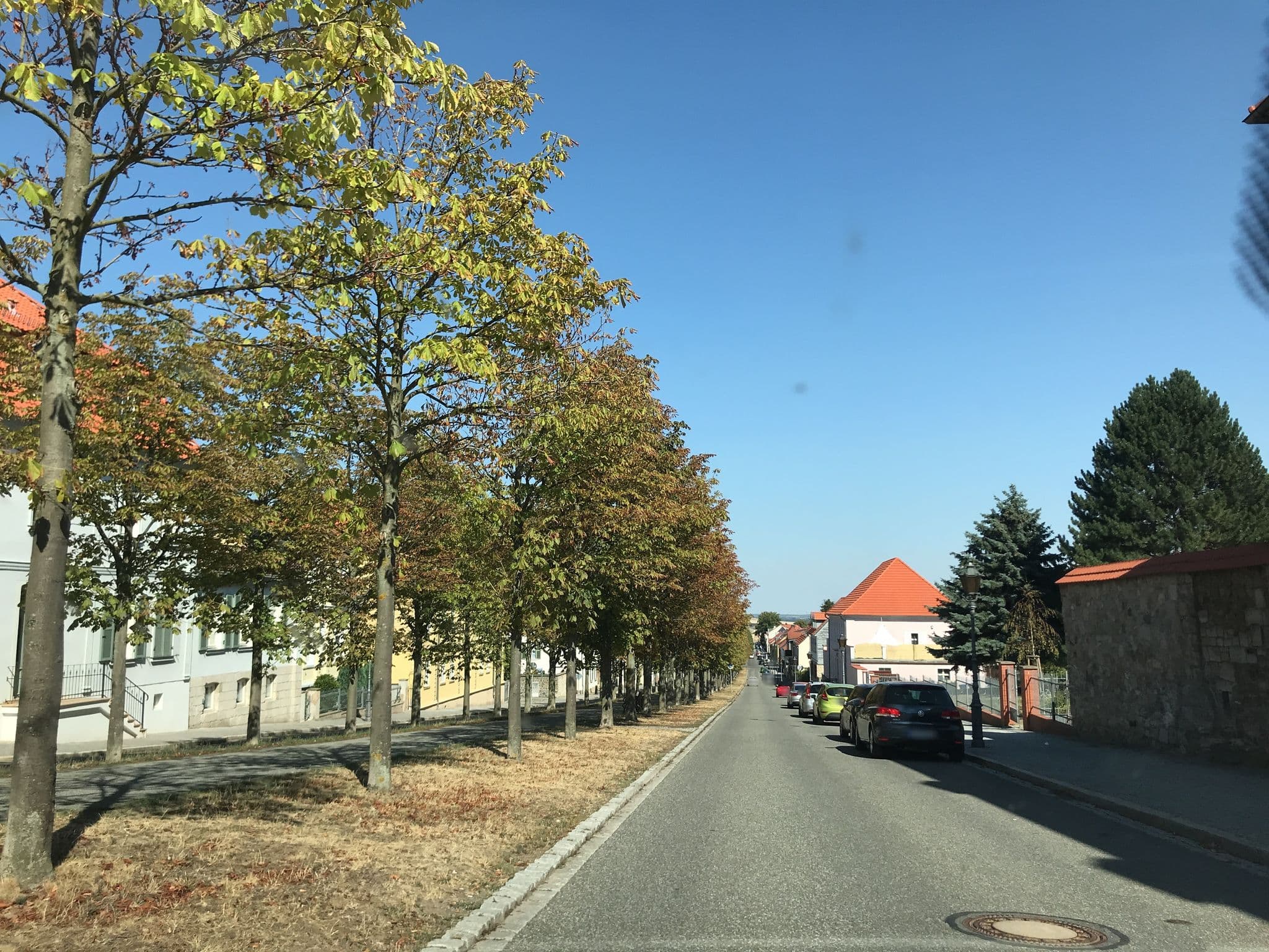 Street view near Appartements Residenz Jacobs, Ballenstedt — © dl7auq (CC BY-SA · Mapillary)