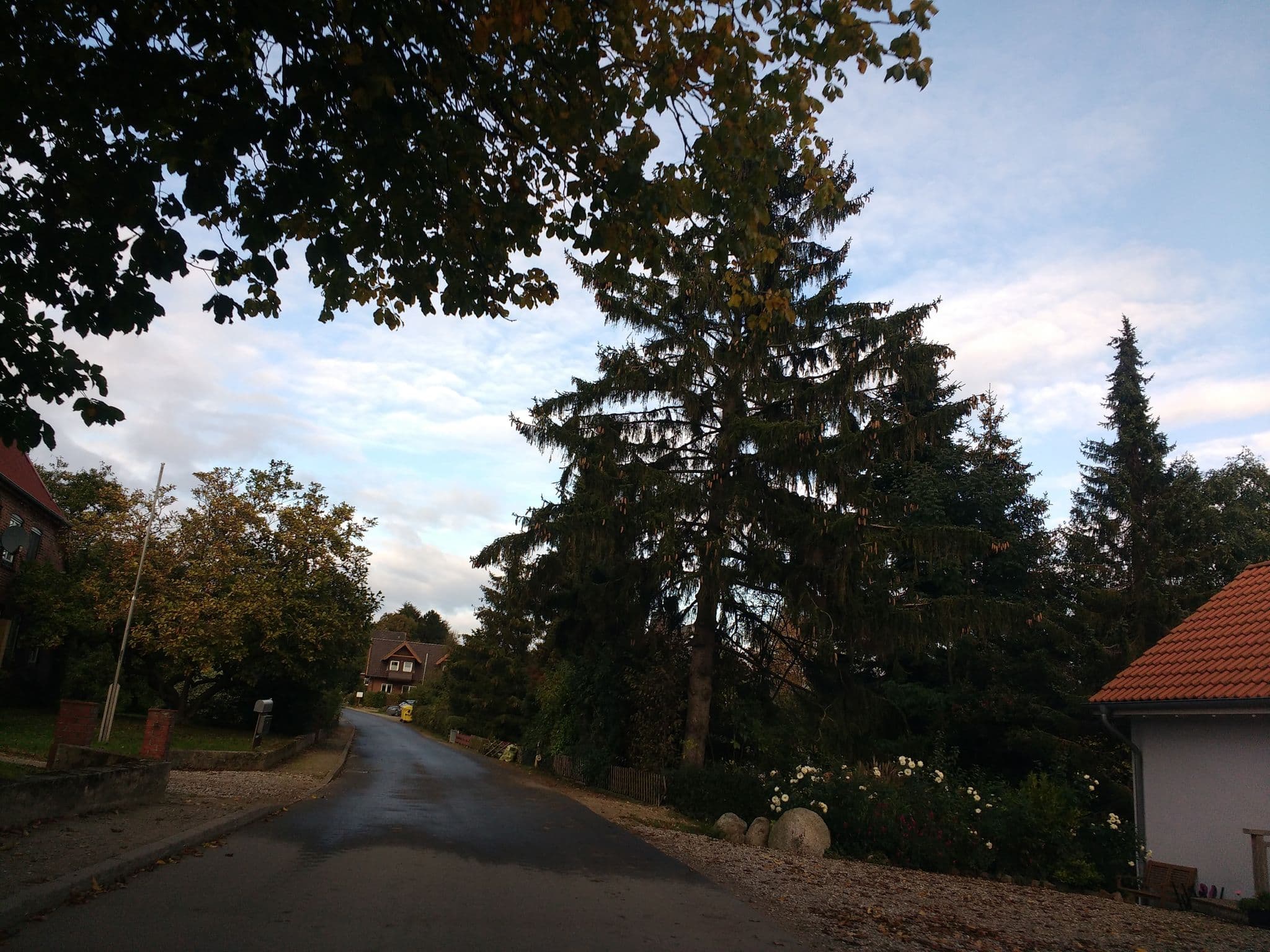 Street view near Ferienhof Wiesengrund, Wangels — © thetornado76 (CC BY-SA · Mapillary)