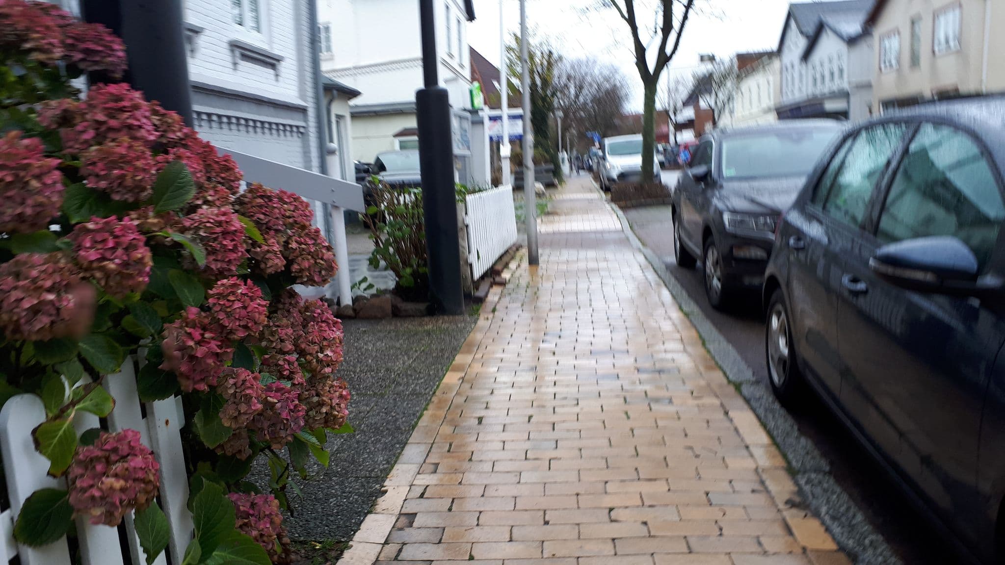 Street view near Pension Lassen, Westerland — © bernd_niemann (CC BY-SA · Mapillary)