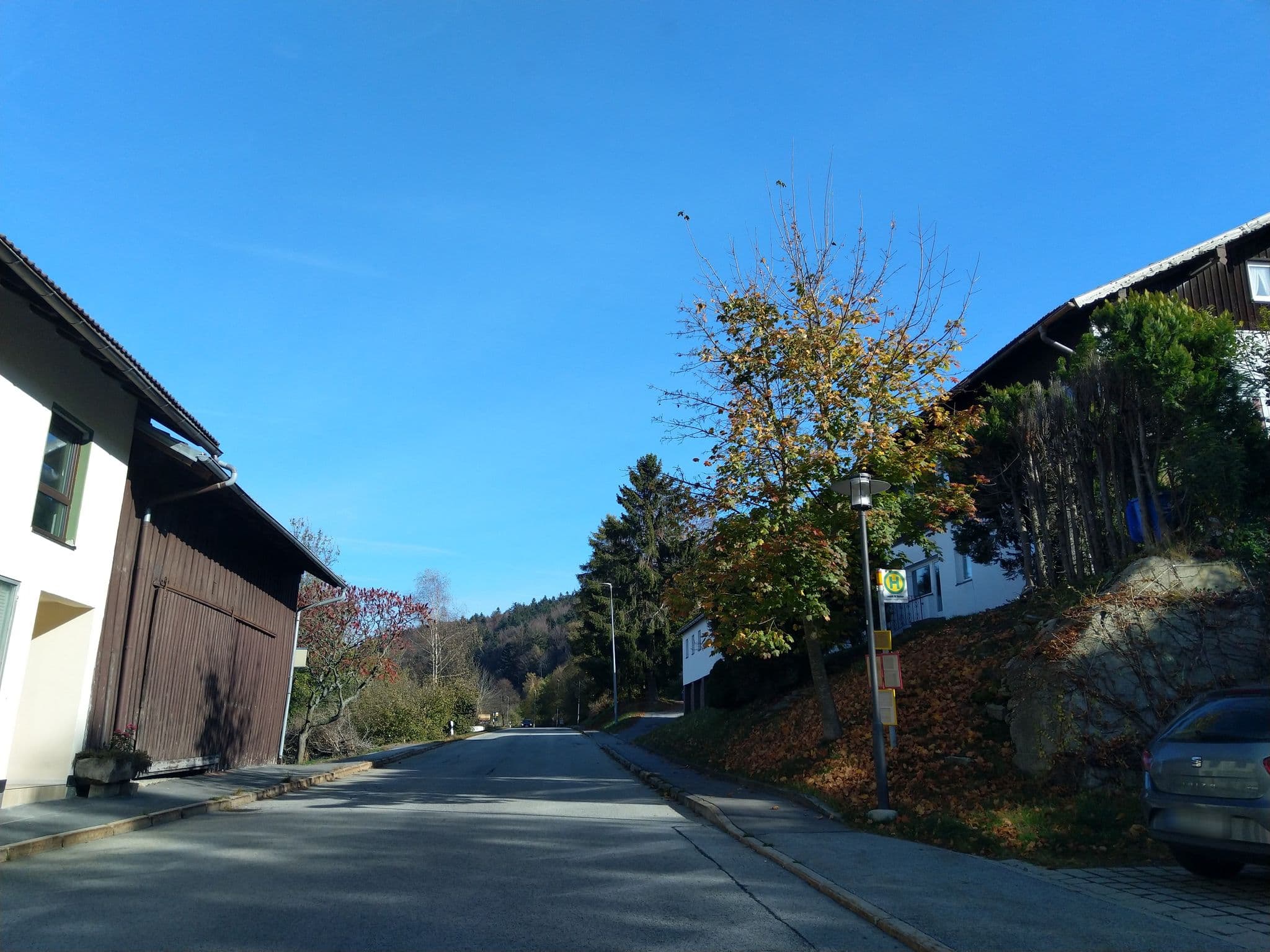 Street view near Panorama-Landgasthof Ranzinger, Schöfweg — © highwayphotograph (CC BY-SA · Mapillary)