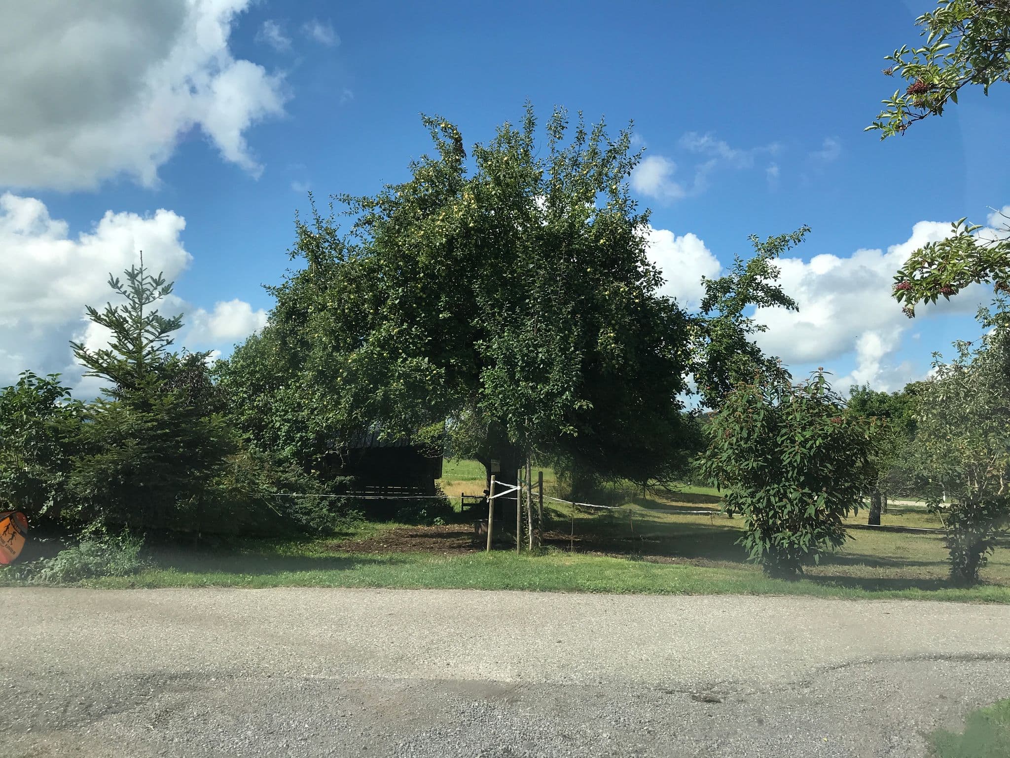 Street view near Thaddäushof, Sankt Peter — © tbkrtz (CC BY-SA · Mapillary)