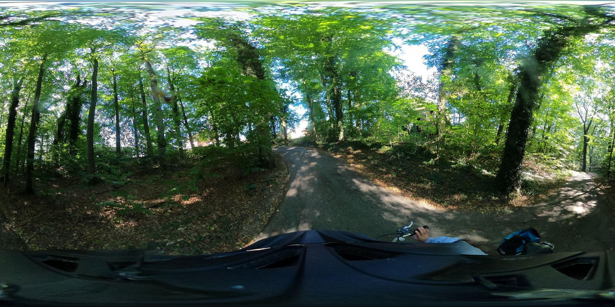 Street view near Waldhaus, Eyendorf — © ElisaMK (CC BY-SA · Mapillary)