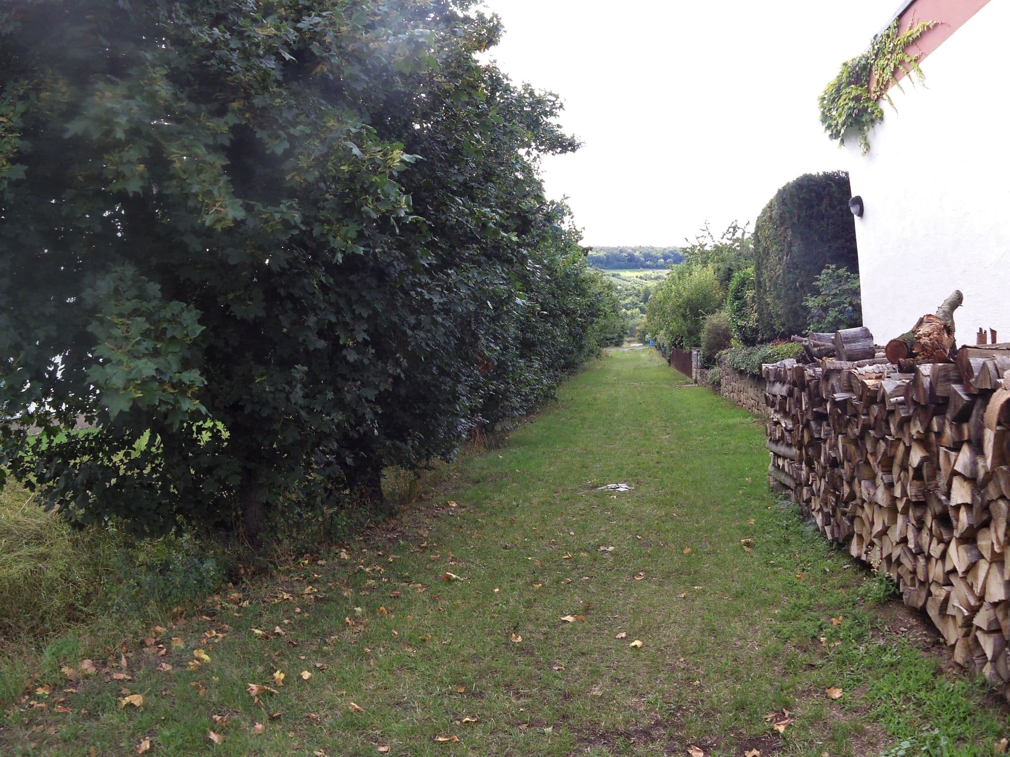 Street view near Ferienwohnung Familie Sommer, Sommerhausen — © zoegglmeyr (CC BY-SA · Mapillary)