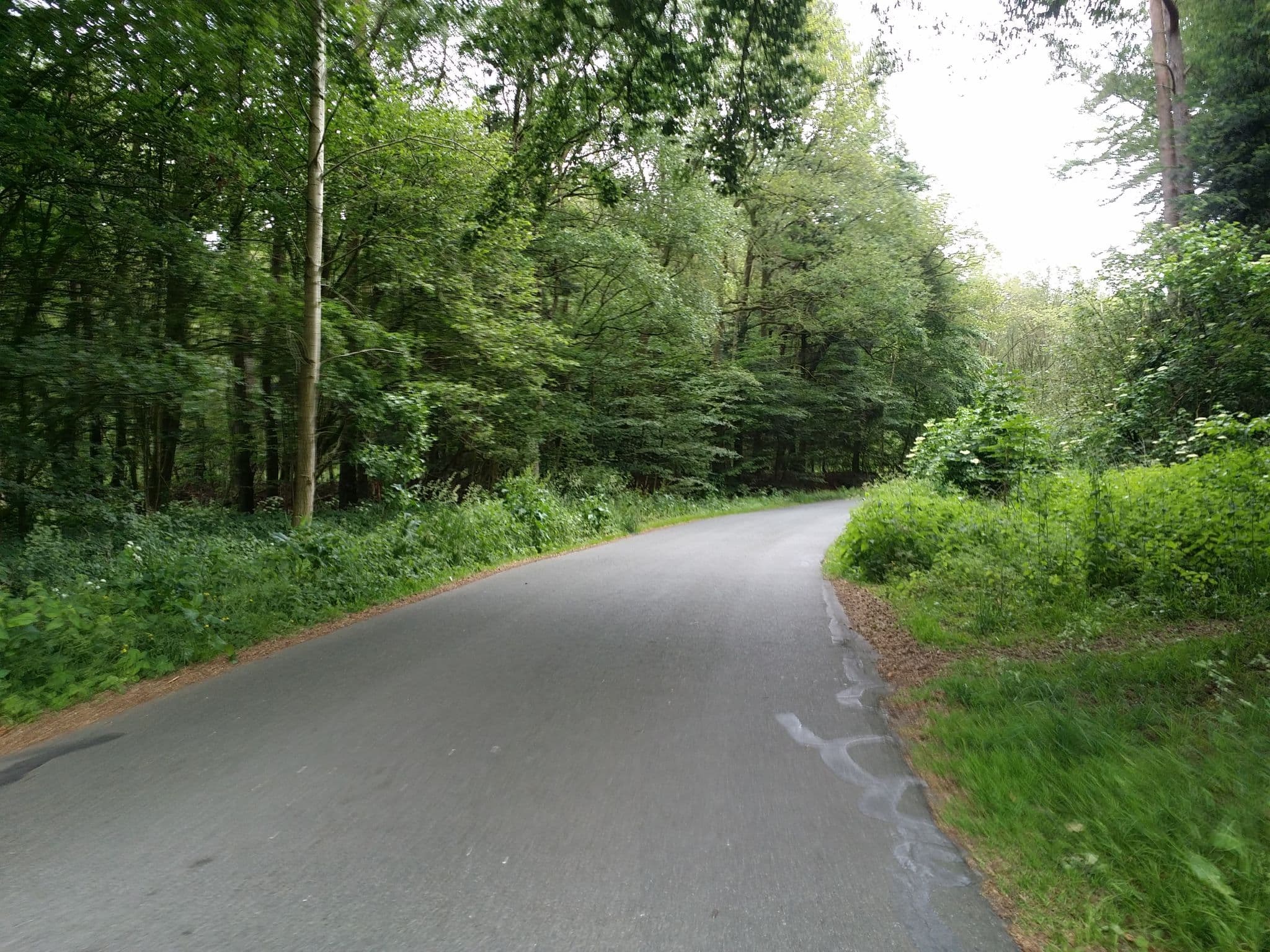 Street view near Wohnmobilstellplatz Neuenburger Urwald, Bockhorn — © abmap (CC BY-SA · Mapillary)