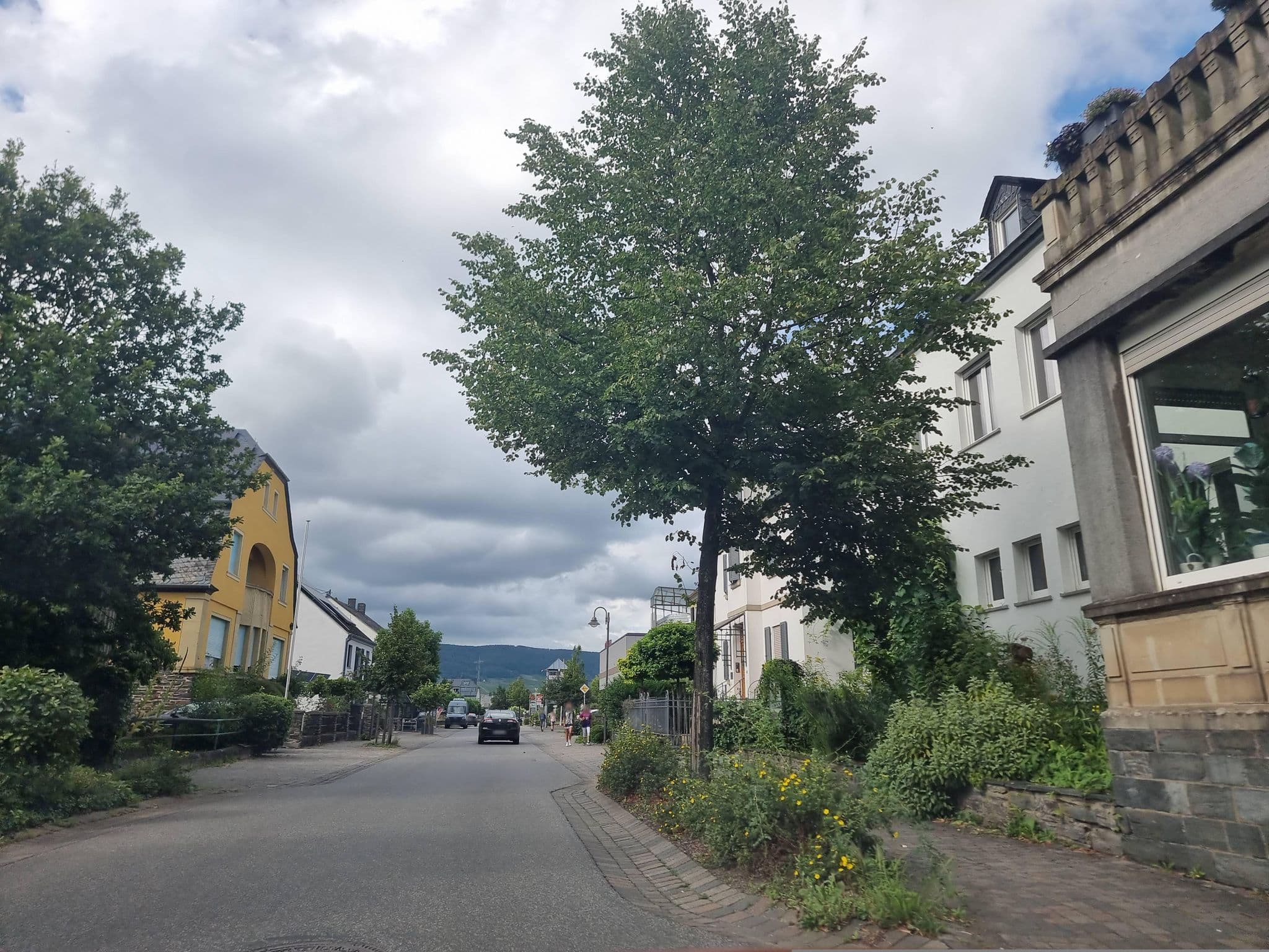 Street view near Landgasthof Altes Weingut, Neumagen-Dhron — © ma_rt_in (CC BY-SA · Mapillary)