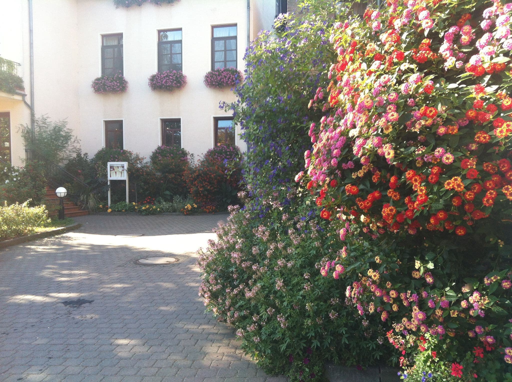 Street view near Gästehaus - Hotel Mechtildshausen, Nordenstadt — © miguel_andrade (CC BY-SA · Mapillary)