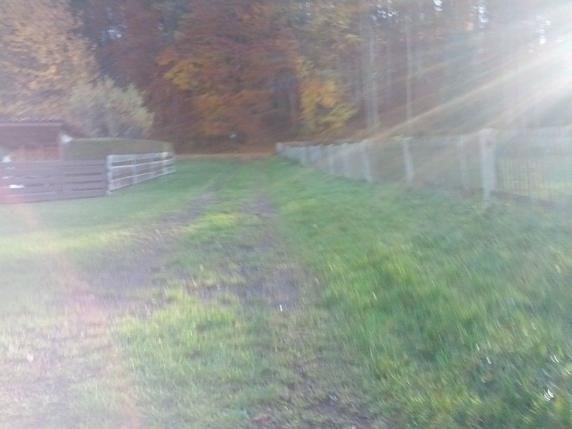 Street view near Ferienhaus Backhaus, Thal — © zoegglmeyr (CC BY-SA · Mapillary)