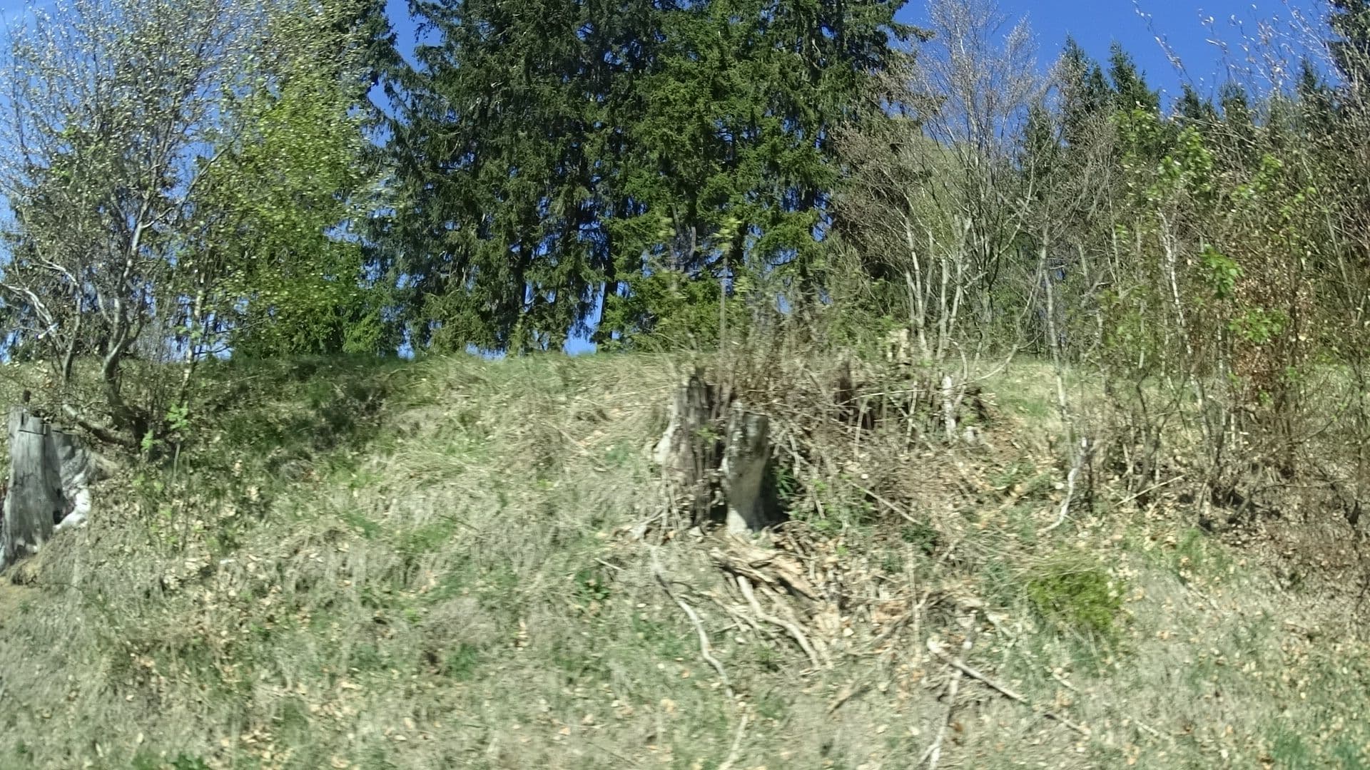 Street view near Köhlerhütte, Frauenwald — © ramap (CC BY-SA · Mapillary)