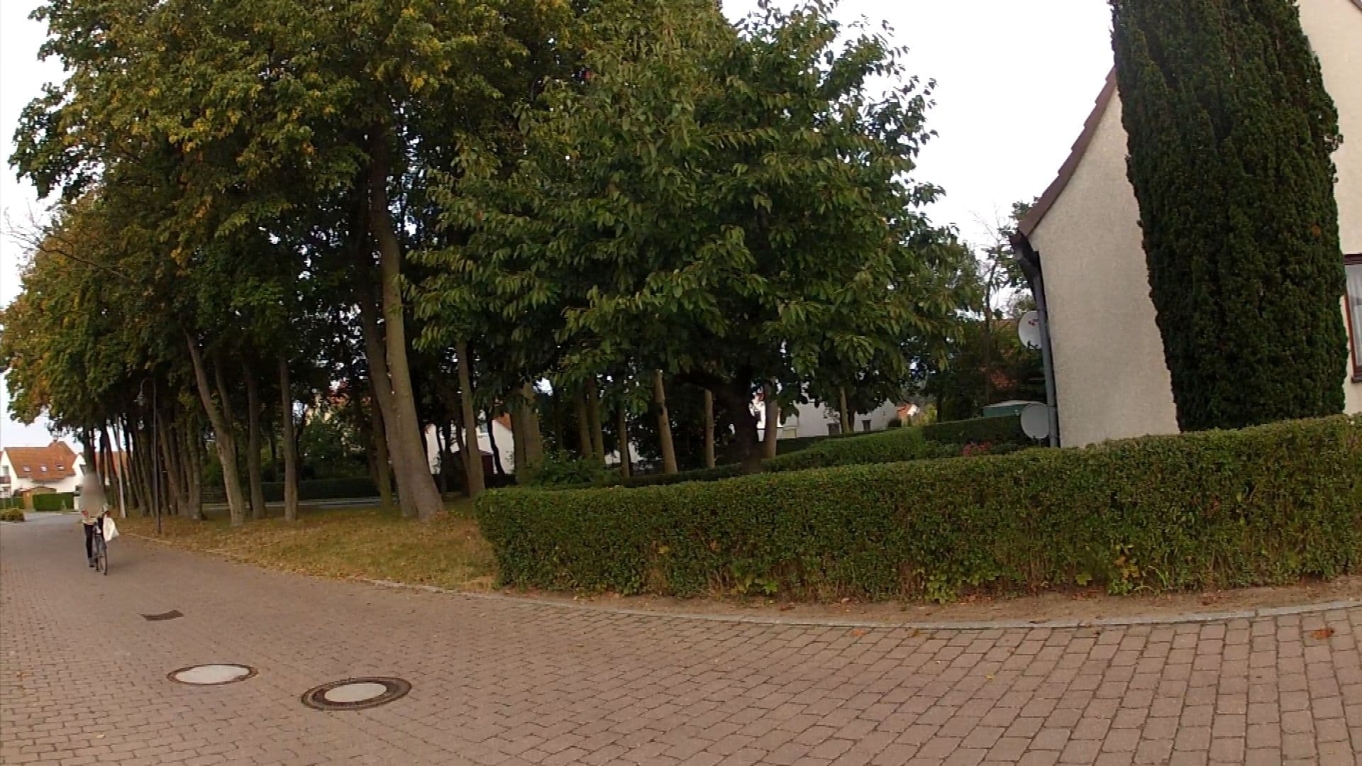 Street view near Schulz, Bastorf — © fahrradfahrer (CC BY-SA · Mapillary)