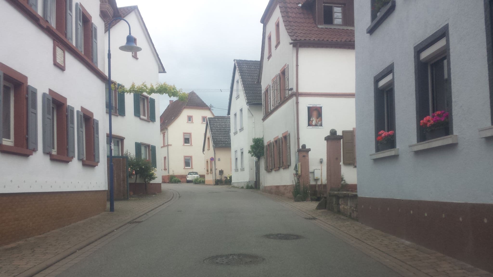 Street view near Wein- und Obsthof Schwander, Ilbesheim — © wegavision (CC BY-SA · Mapillary)