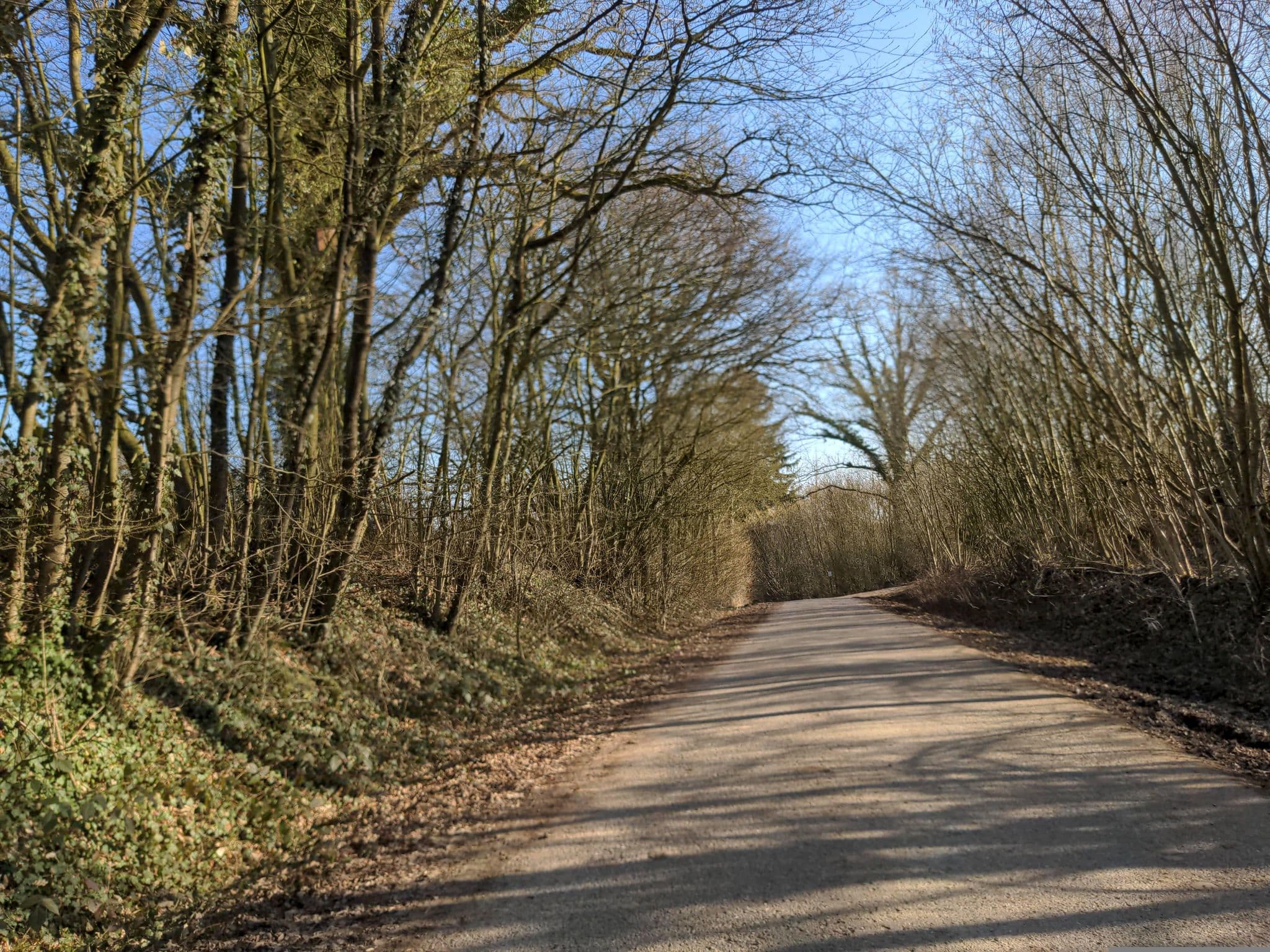 Street view near Trekkingplatz Ahrensbök, Ahrensbök — © rasmustravemnd (CC BY-SA · Mapillary)