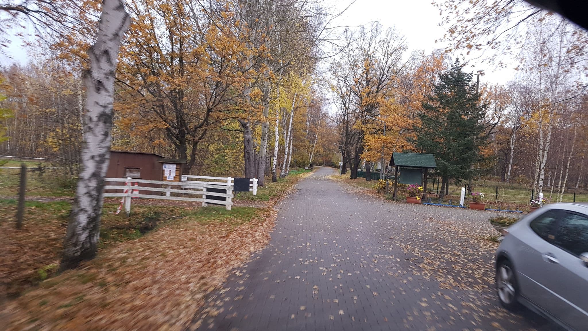 Street view near Restaurant & Pension Seewaldblick, Lauchhammer — © dsmm (CC BY-SA · Mapillary)