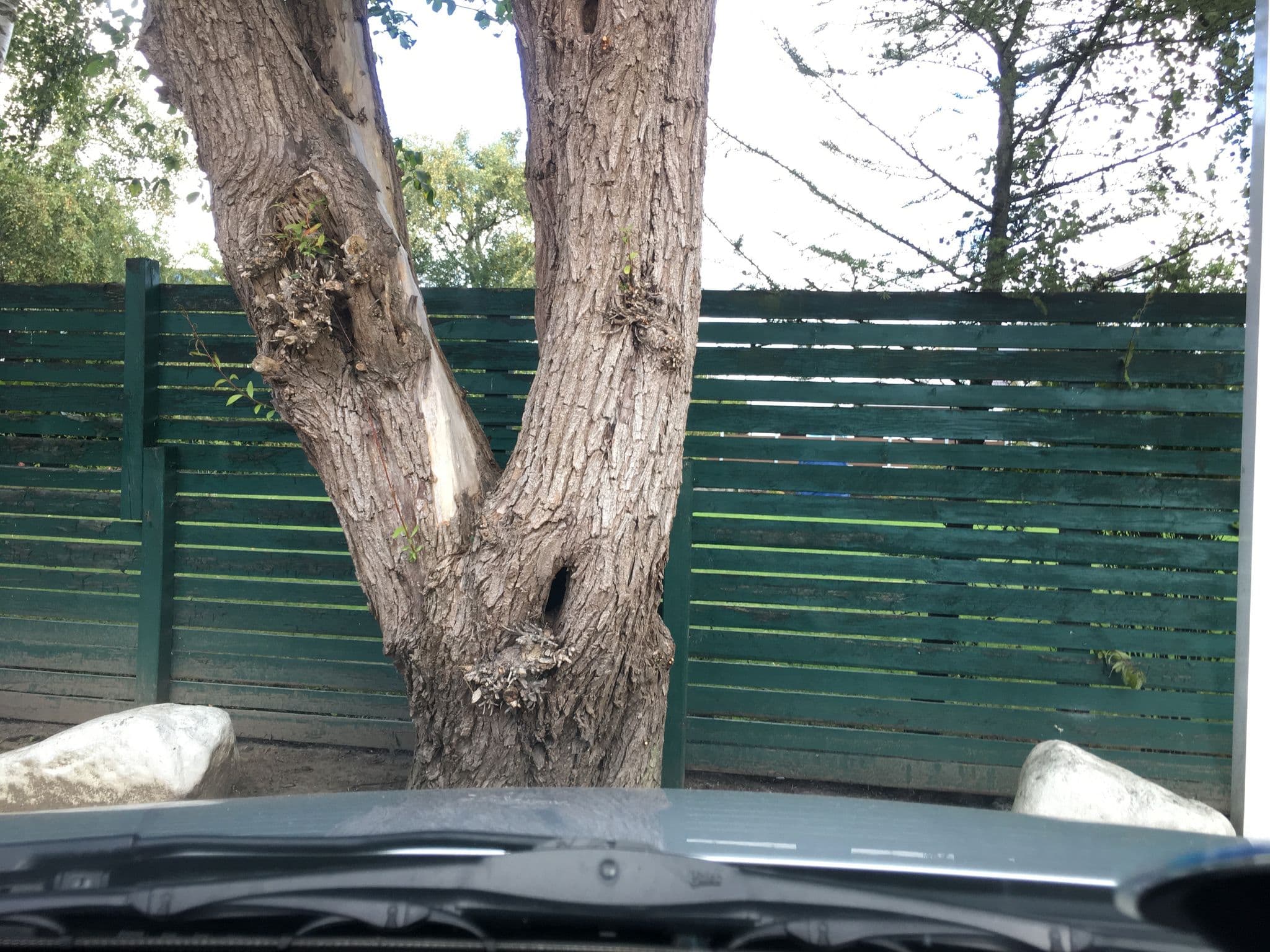Street view near Strandvilla 1, Hohenfelde — © rainerup (CC BY-SA · Mapillary)