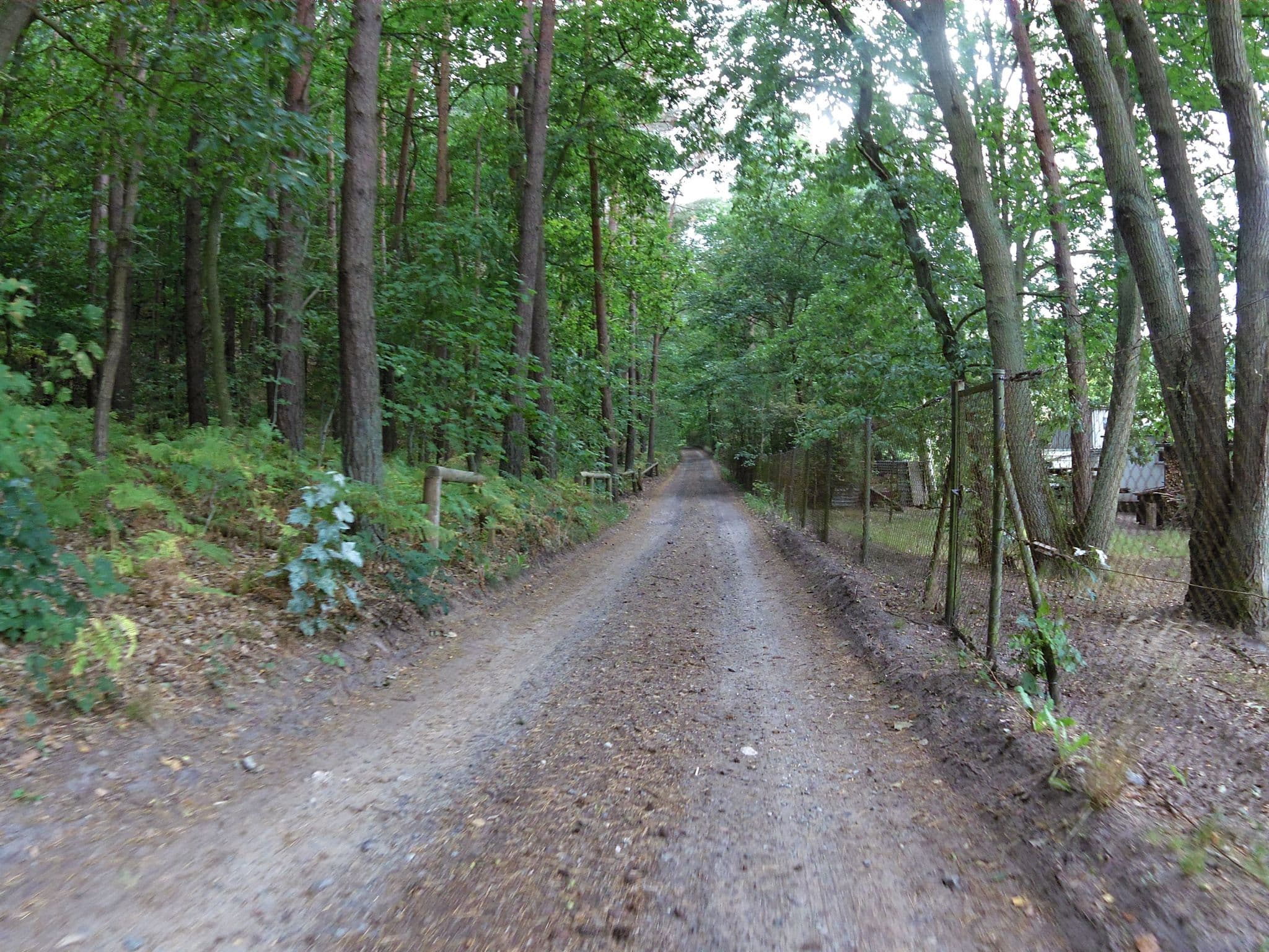 Street view near Haus am Wald, Seebad Heringsdorf — © zoegglmeyr (CC BY-SA · Mapillary)