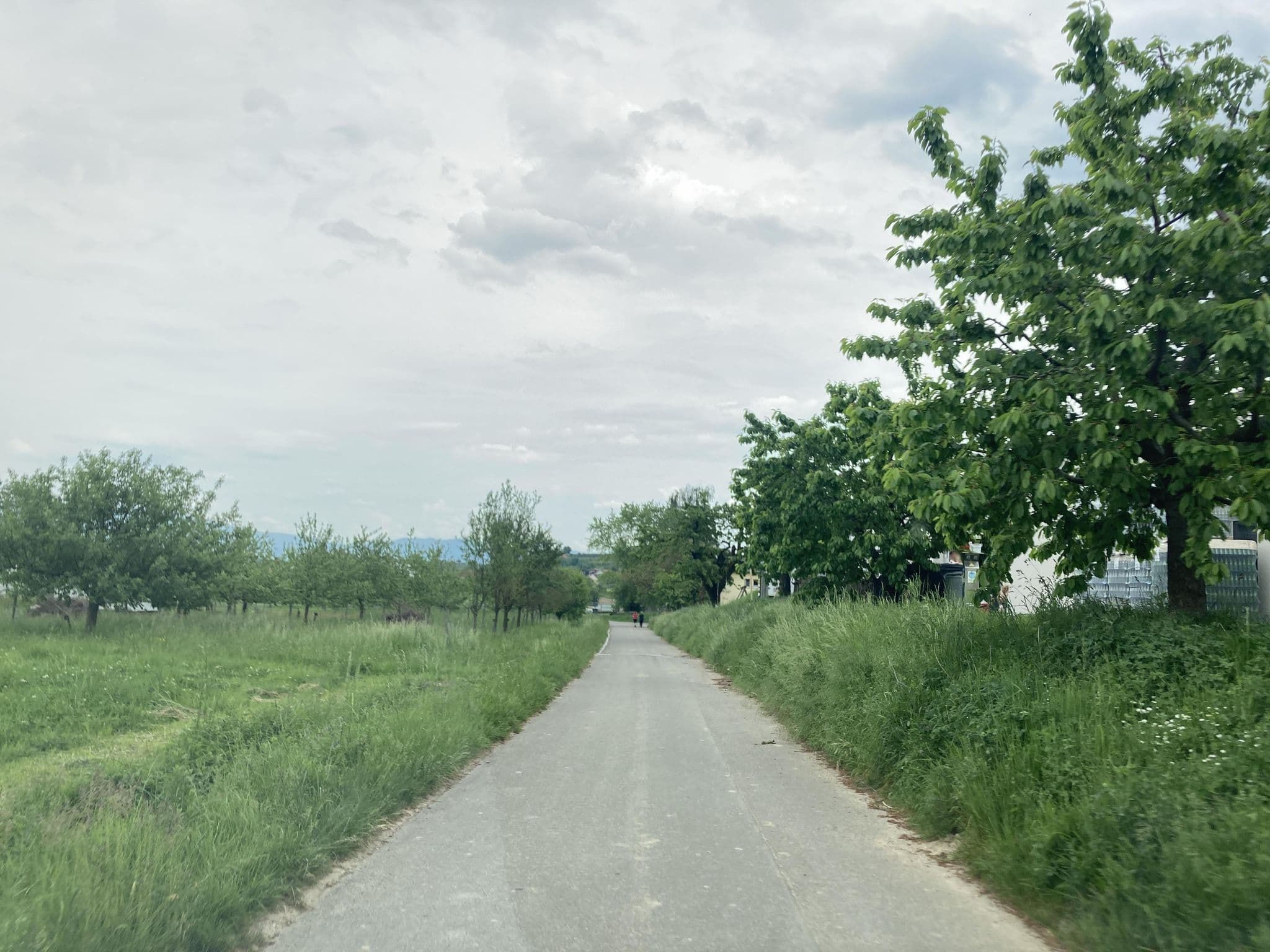 Street view near Weingut Arndt Köbelin, Eichstetten — © tasmaniadevil (CC BY-SA · Mapillary)