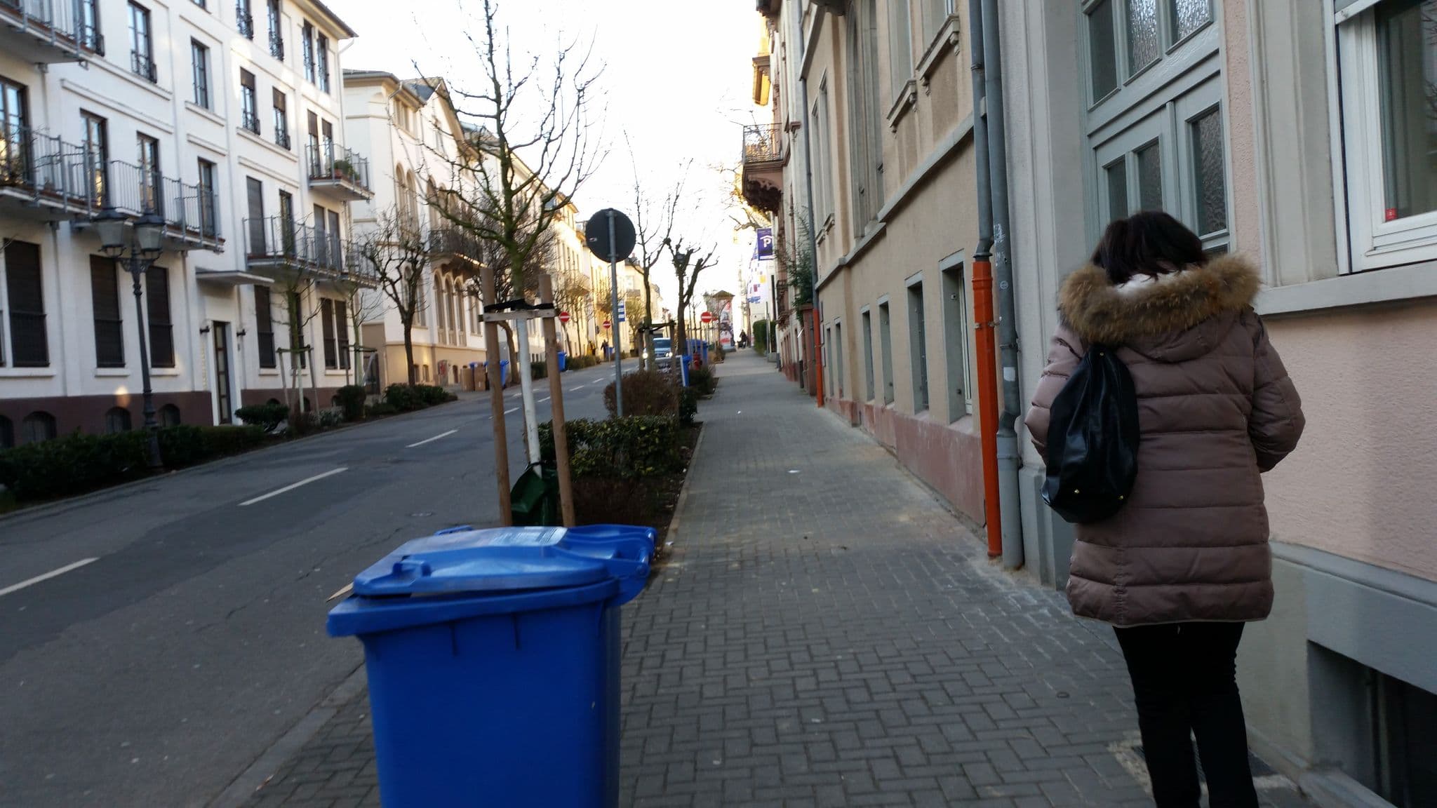 Street view near Gästehaus Sahr, Bad Homburg vor der Höhe — © jose1711 (CC BY-SA · Mapillary)