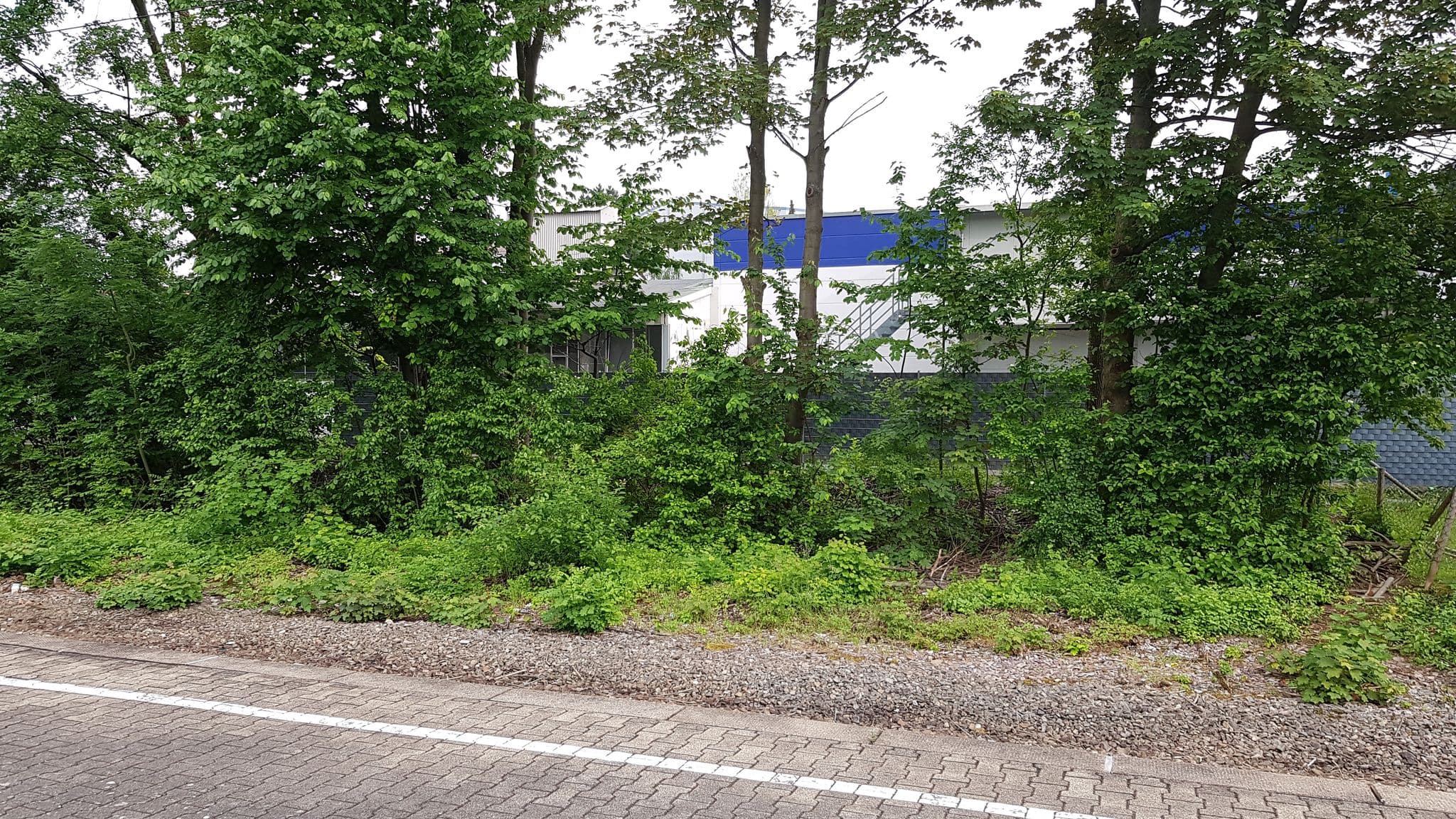 Street view near Rübli, Freiberg am Neckar — © bigbug21 (CC BY-SA · Mapillary)