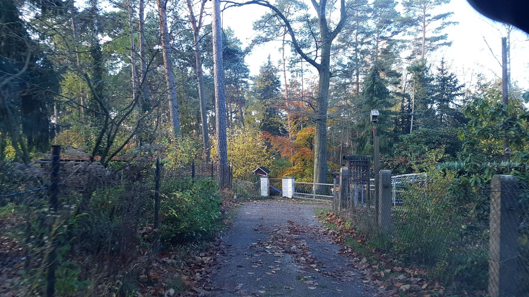 Street view near FeWo "Haus Sonneneck", Dahlen — © dsmm (CC BY-SA · Mapillary)