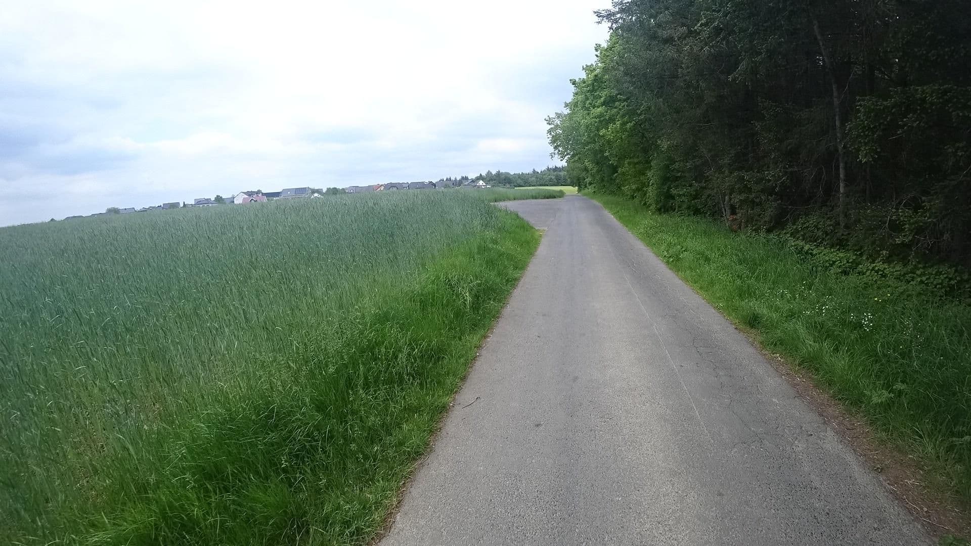 Street view near Matteshütte, Ulmen — © MichelleFritzSLP (CC BY-SA · Mapillary)