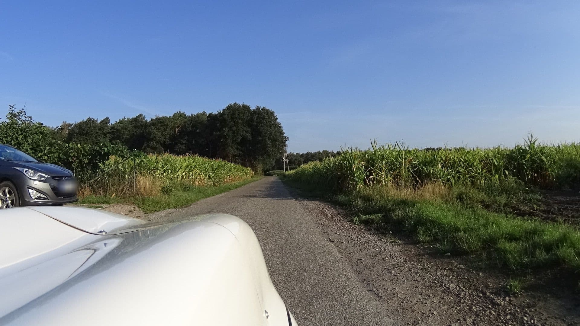 Street view near Ferienwohnung "Haus Förster", Kevelaer — © fietsersbond (CC BY-SA · Mapillary)