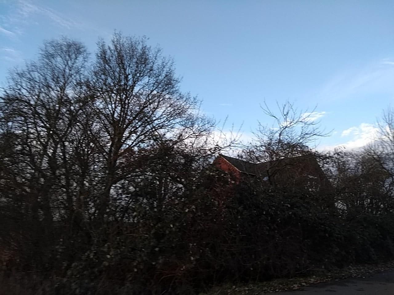 Street view near Haus Oldendorp, Petkum — © thetornado76 (CC BY-SA · Mapillary)