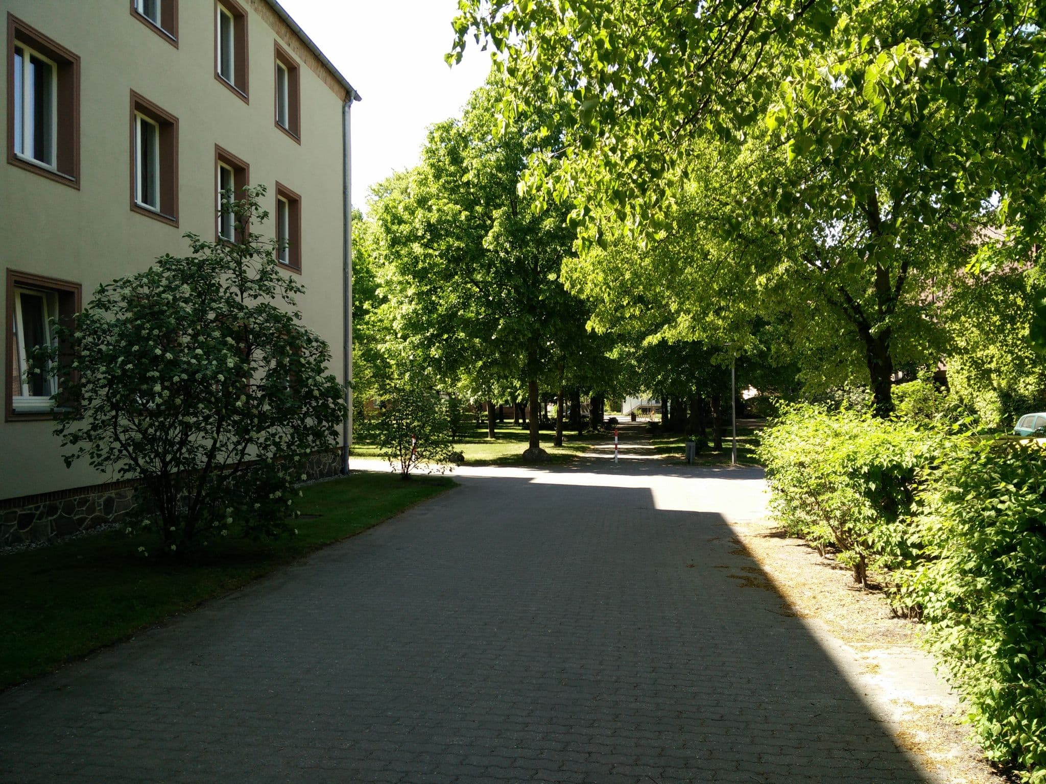 Street view near Gästehaus Friedensau, Möckern — © fahrradfahrer (CC BY-SA · Mapillary)