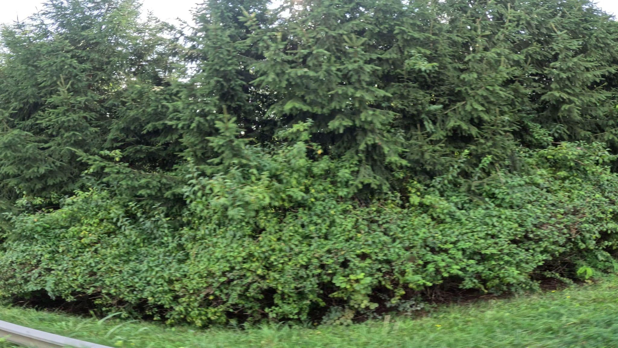 Street view near WoMo Stellplatz Motorikpark Gamlitz, Gamlitz — © djpixel (CC BY-SA · Mapillary)