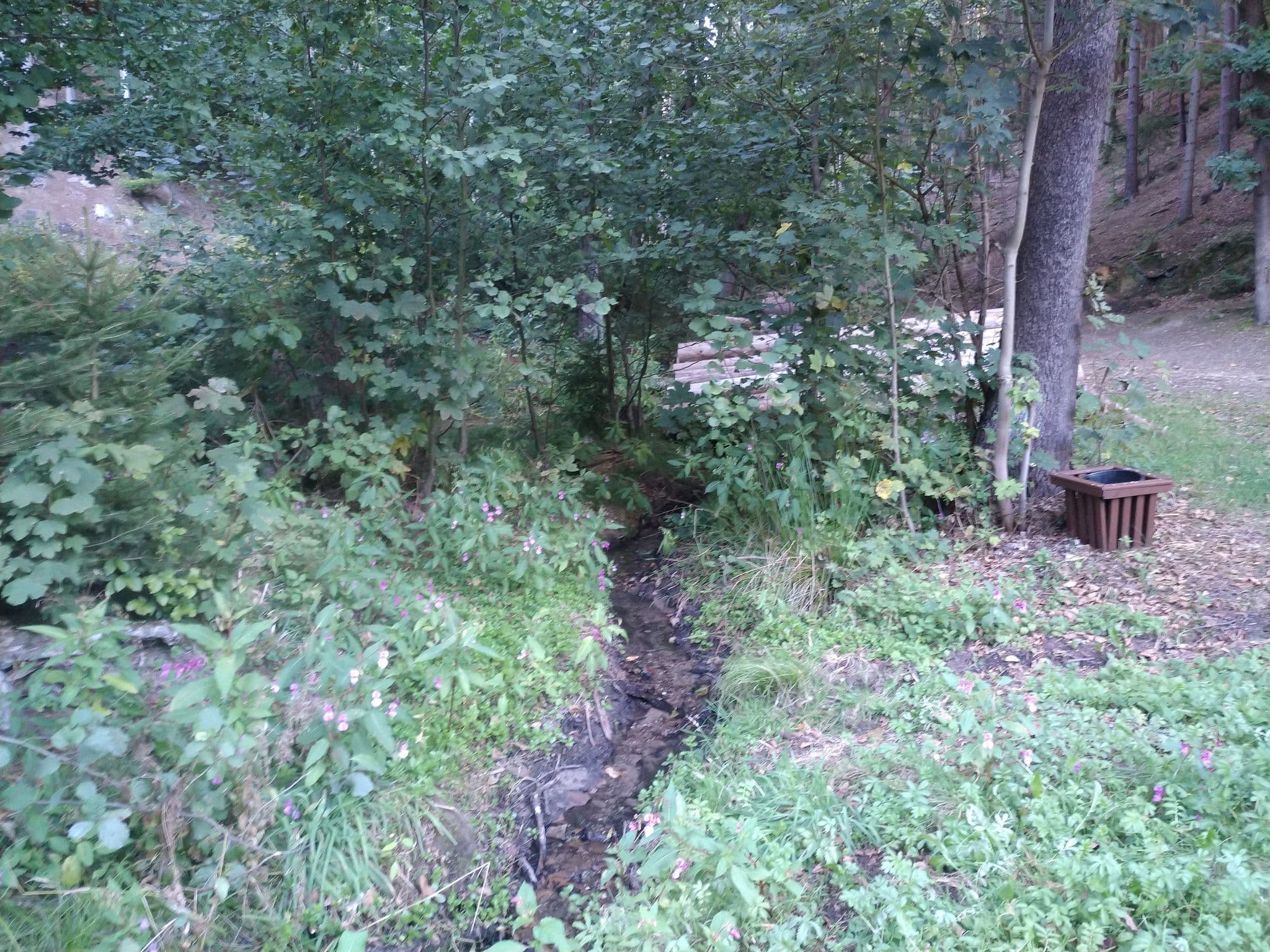 Street view near DJH Jugendherberge "Froschmühle" Eisenberg, Eisenberg — © mknight (CC BY-SA · Mapillary)