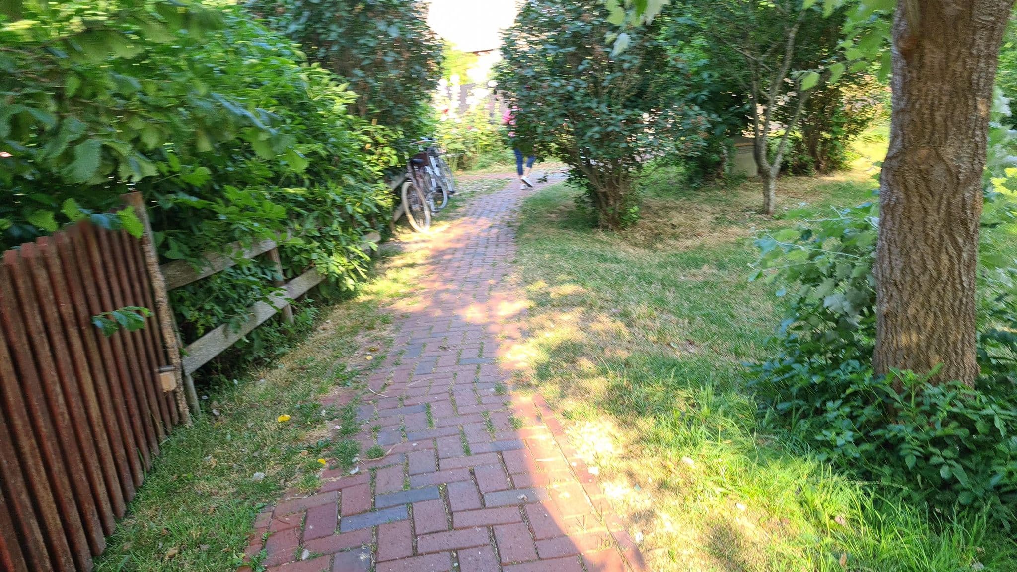 Street view near Hus in Lee, Pellworm — © dsmm (CC BY-SA · Mapillary)