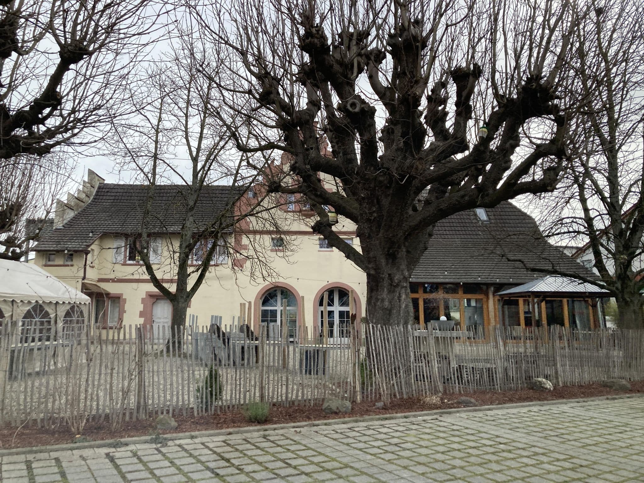 Street view near Bayers Boutique Hotel, Oberrotweil — © tasmaniadevil (CC BY-SA · Mapillary)