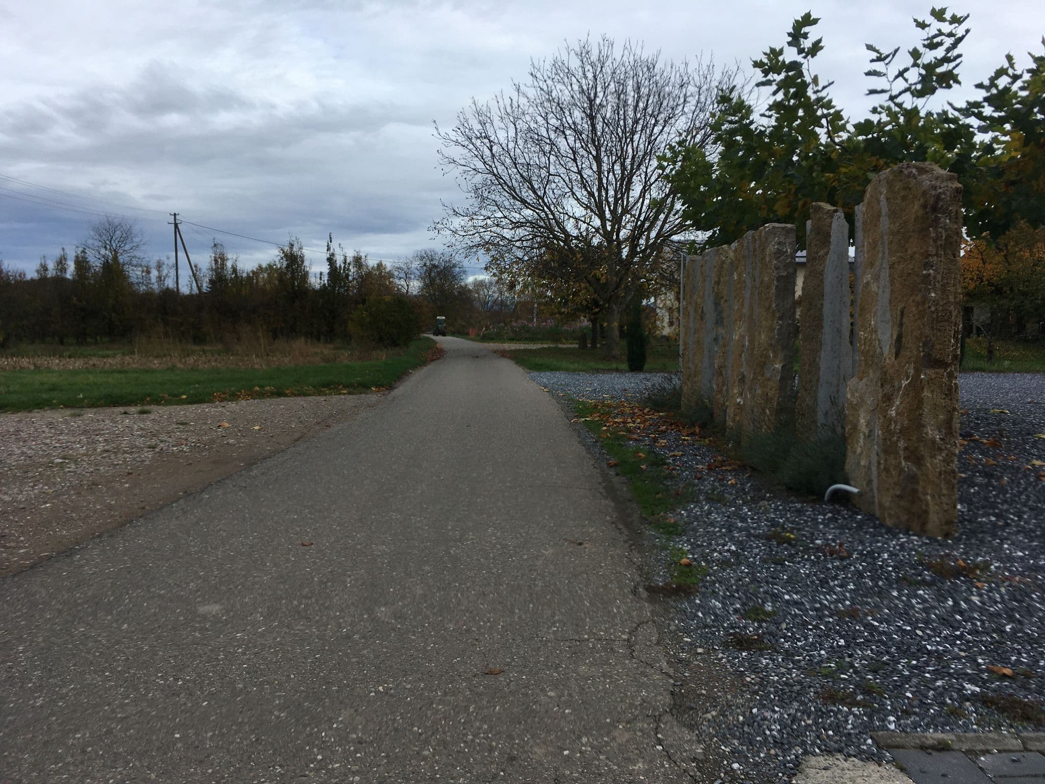 Street view near Weingut Sexauer Wohnmobilstellplatz, Ihringen — © changchun1 (CC BY-SA · Mapillary)