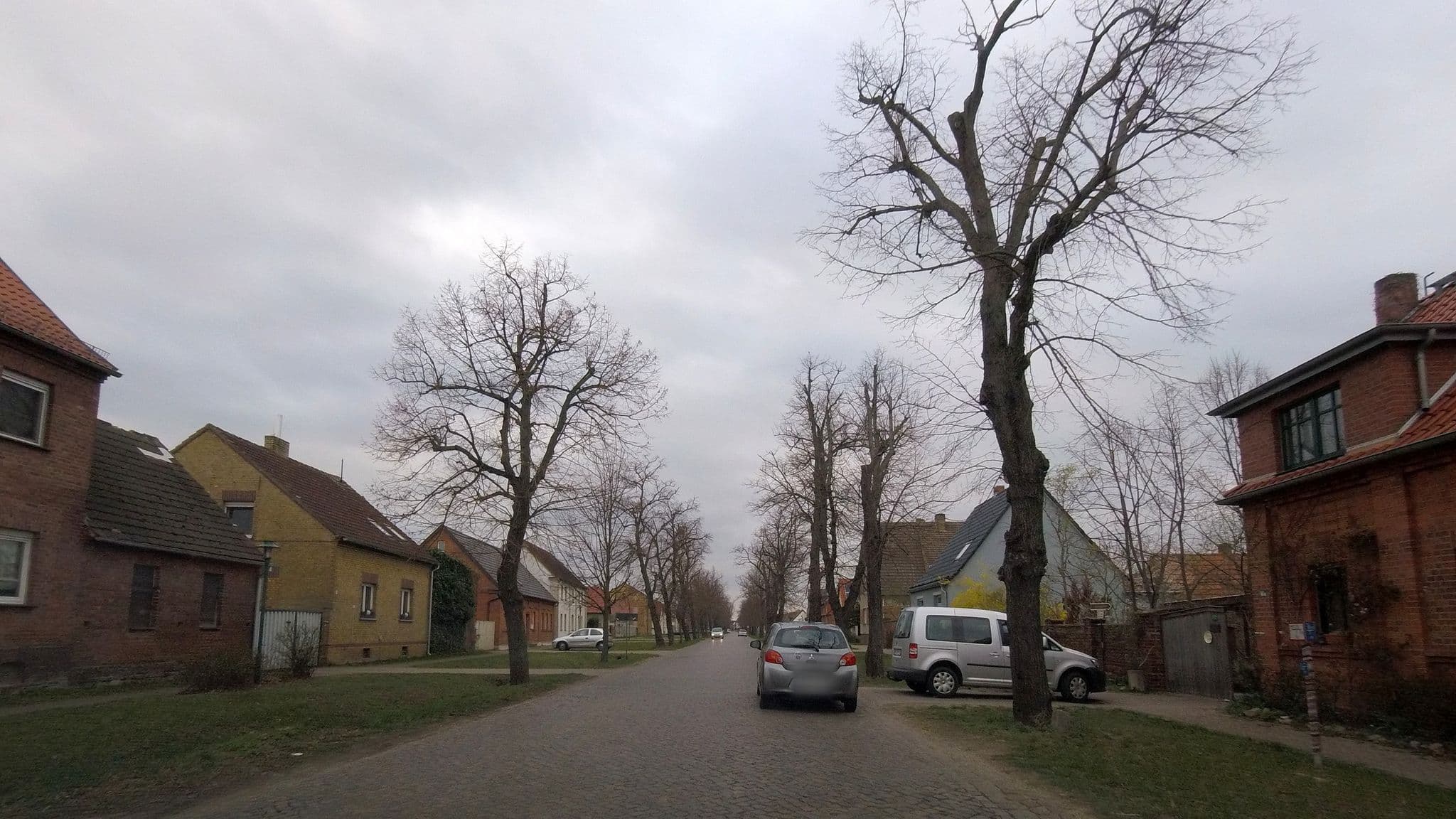 Street view near Bücherhäuschen am Bergwitzsee, Bergwitz — © fdmap (CC BY-SA · Mapillary)