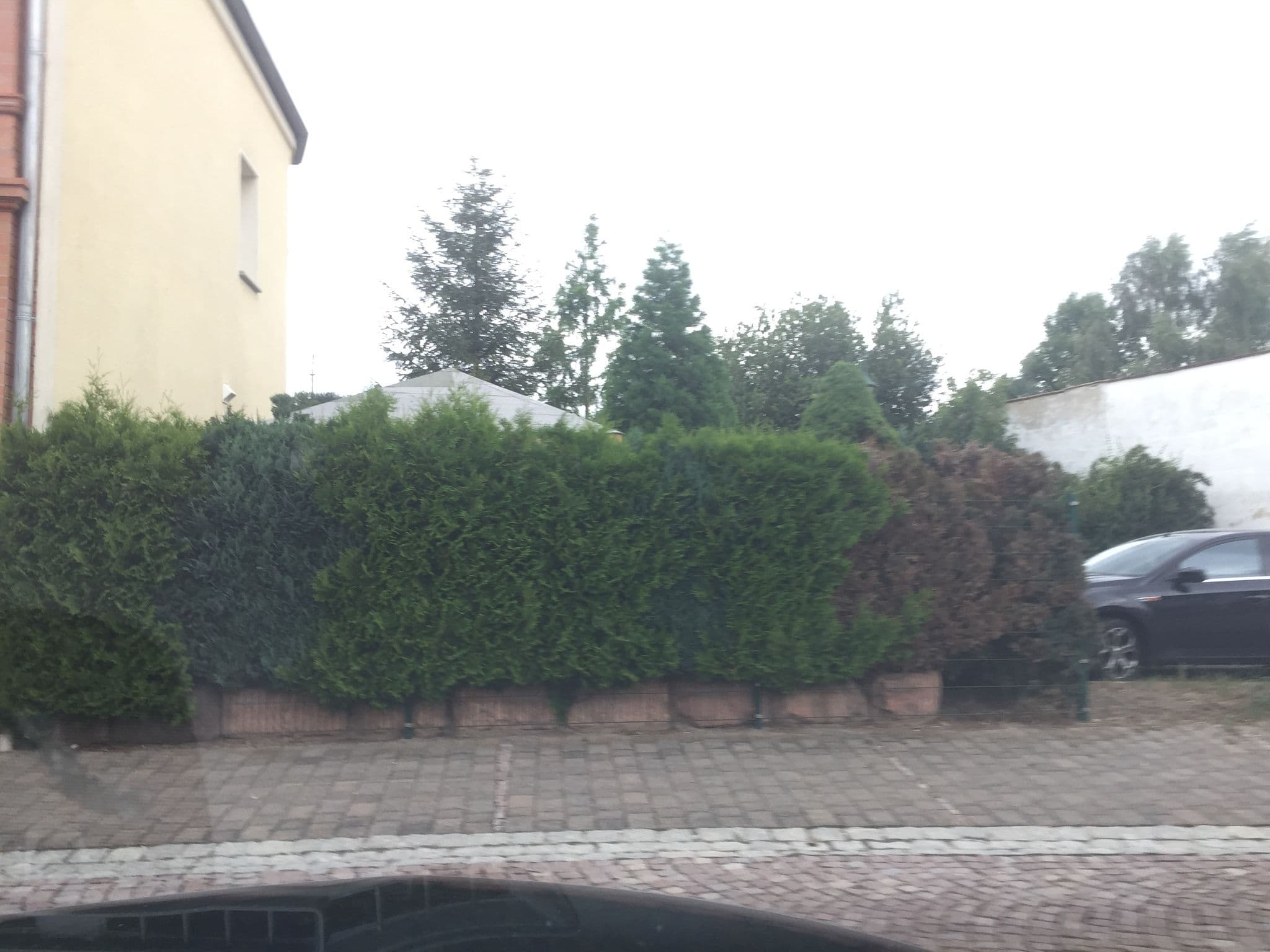 Street view near Ferienwohnung Liana von Cederstolpe, Schmölln — © mcpic (CC BY-SA · Mapillary)