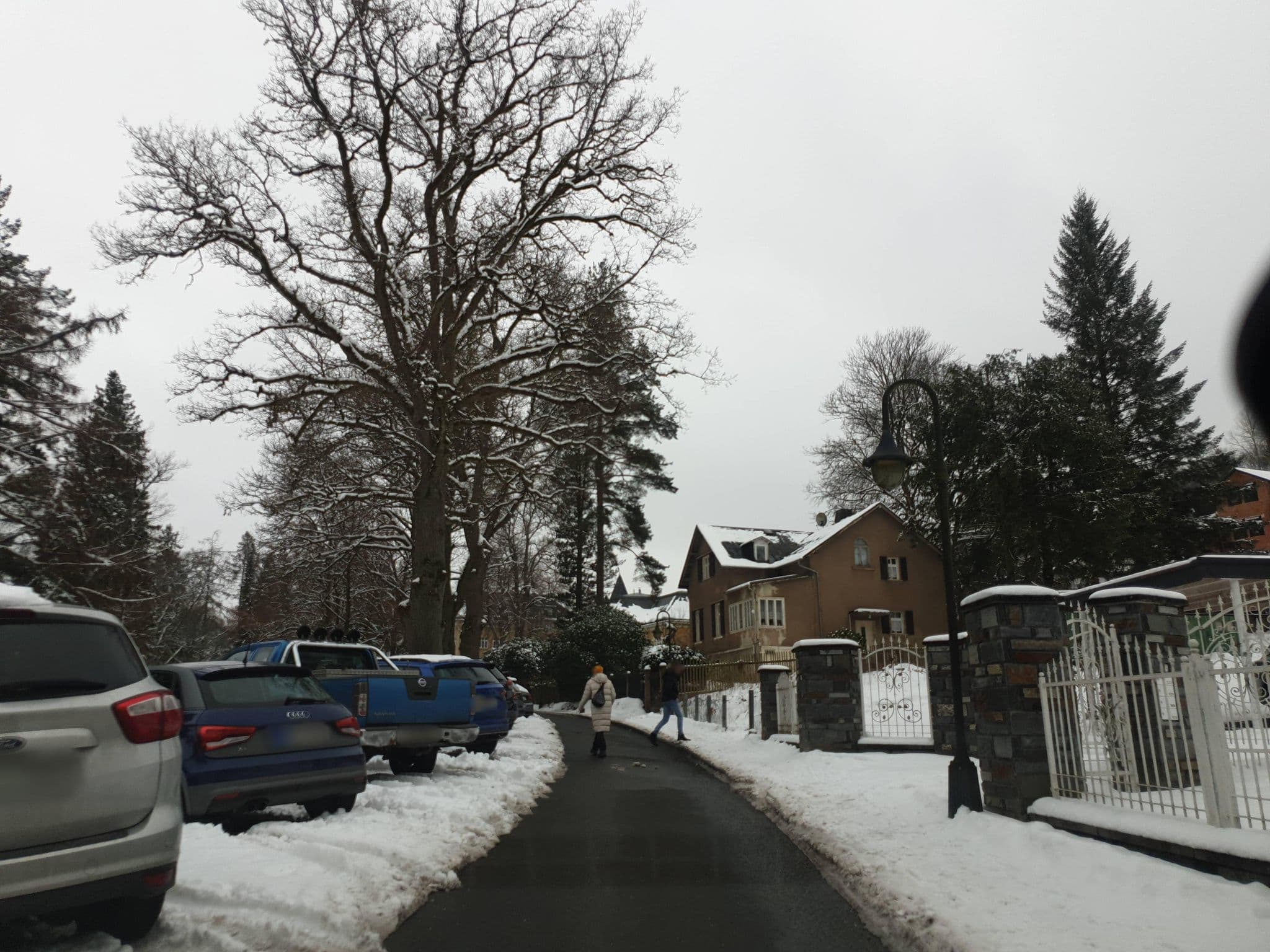 Street view near Ferienwohnung Fürst Metternich, Bad Elster — © canislupus (CC BY-SA · Mapillary)