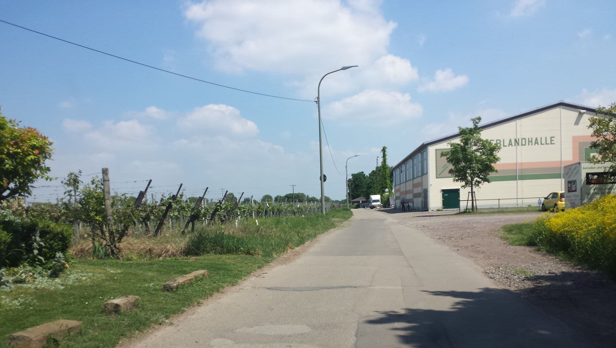 Street view near Stellplatz Kirrweiler, Kirrweiler — © wegavision (CC BY-SA · Mapillary)